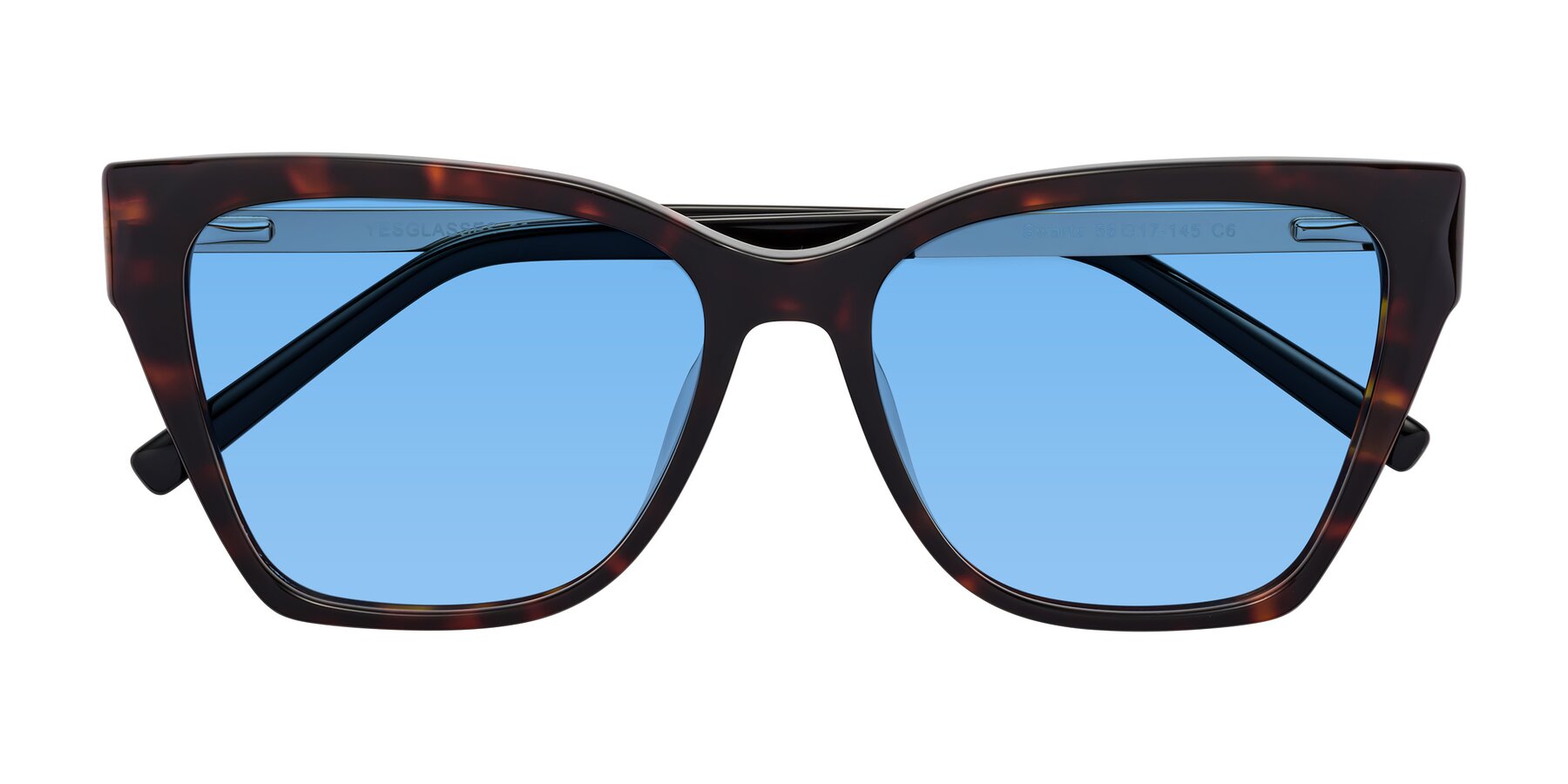 Folded Front of Swartz in Tortoise with Medium Blue Tinted Lenses