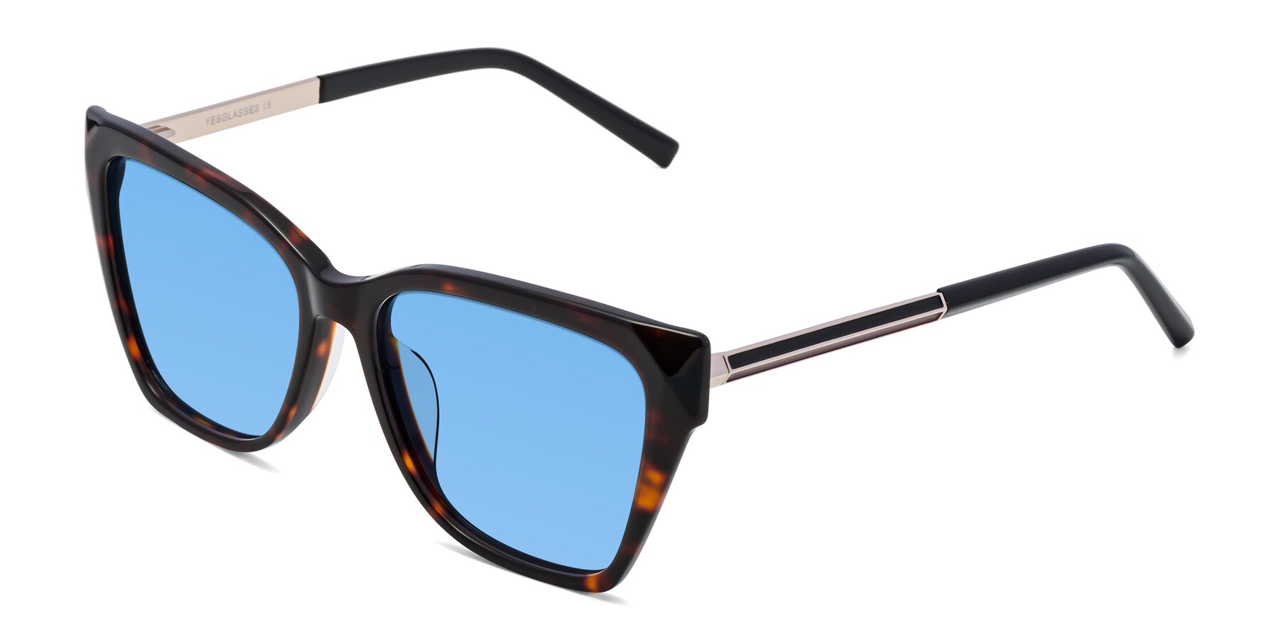 Angle of Swartz in Tortoise with Medium Blue Tinted Lenses