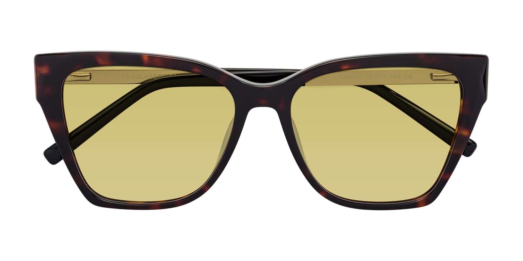 Folded Front of Swartz in Tortoise with Medium Champagne Tinted Lenses