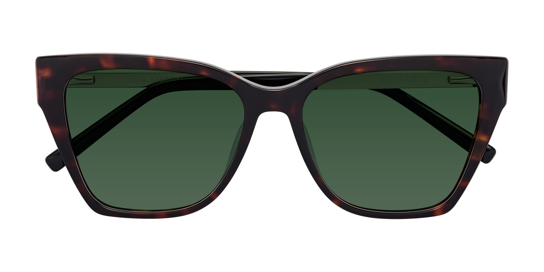 Folded Front of Swartz in Tortoise with Green Tinted Lenses