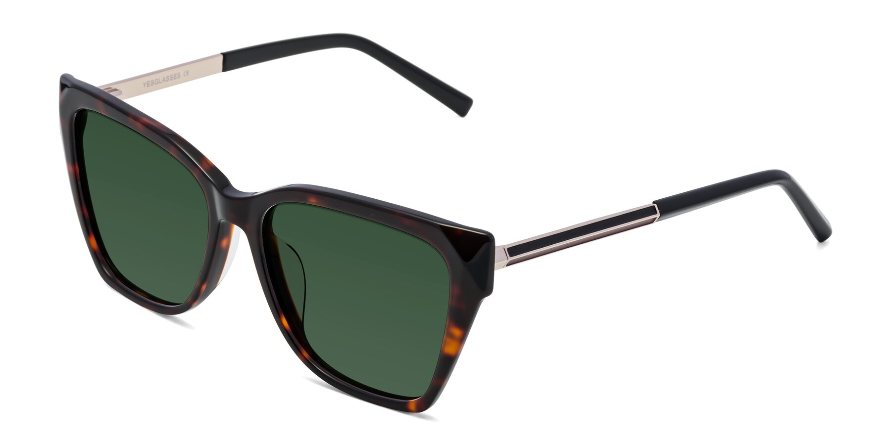 Angle of Swartz in Tortoise with Green Tinted Lenses