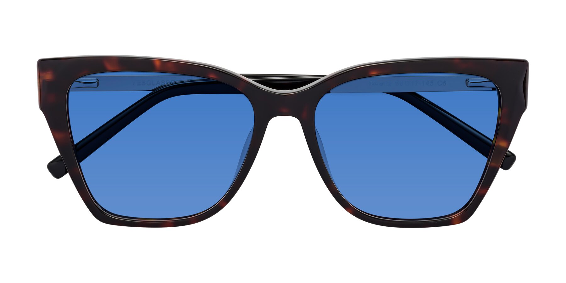 Folded Front of Swartz in Tortoise with Blue Tinted Lenses