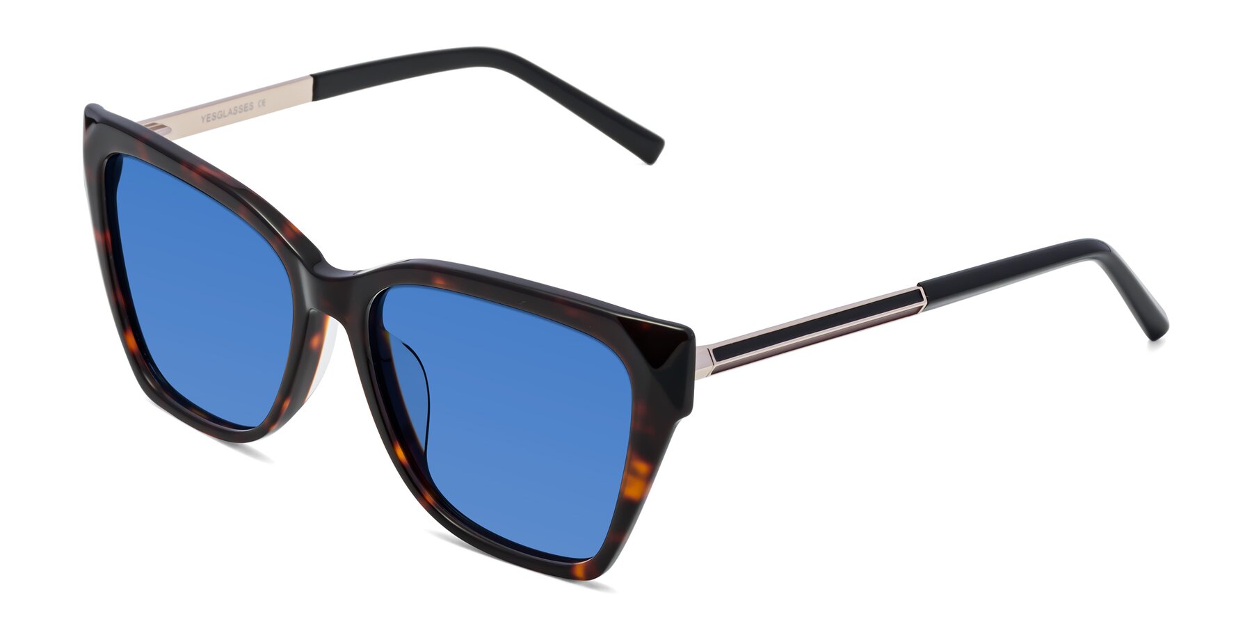 Angle of Swartz in Tortoise with Blue Tinted Lenses