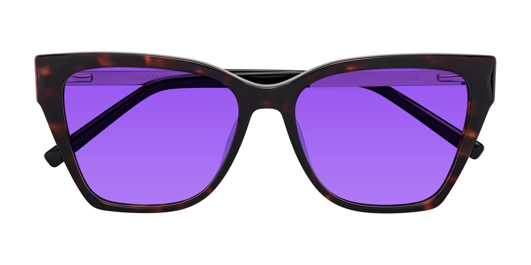 Folded Front of Swartz in Tortoise with Purple Tinted Lenses