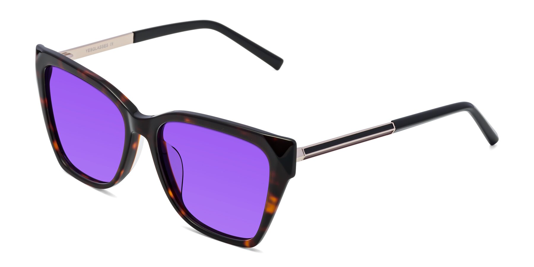 Angle of Swartz in Tortoise with Purple Tinted Lenses