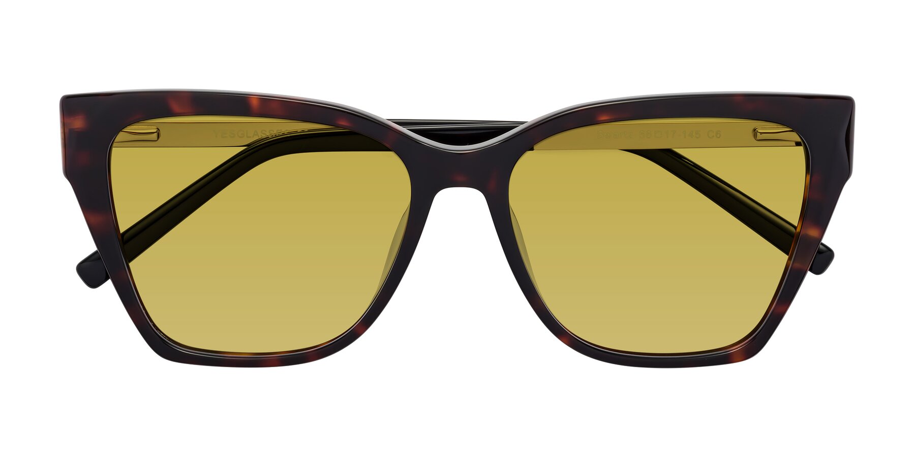 Folded Front of Swartz in Tortoise with Champagne Tinted Lenses