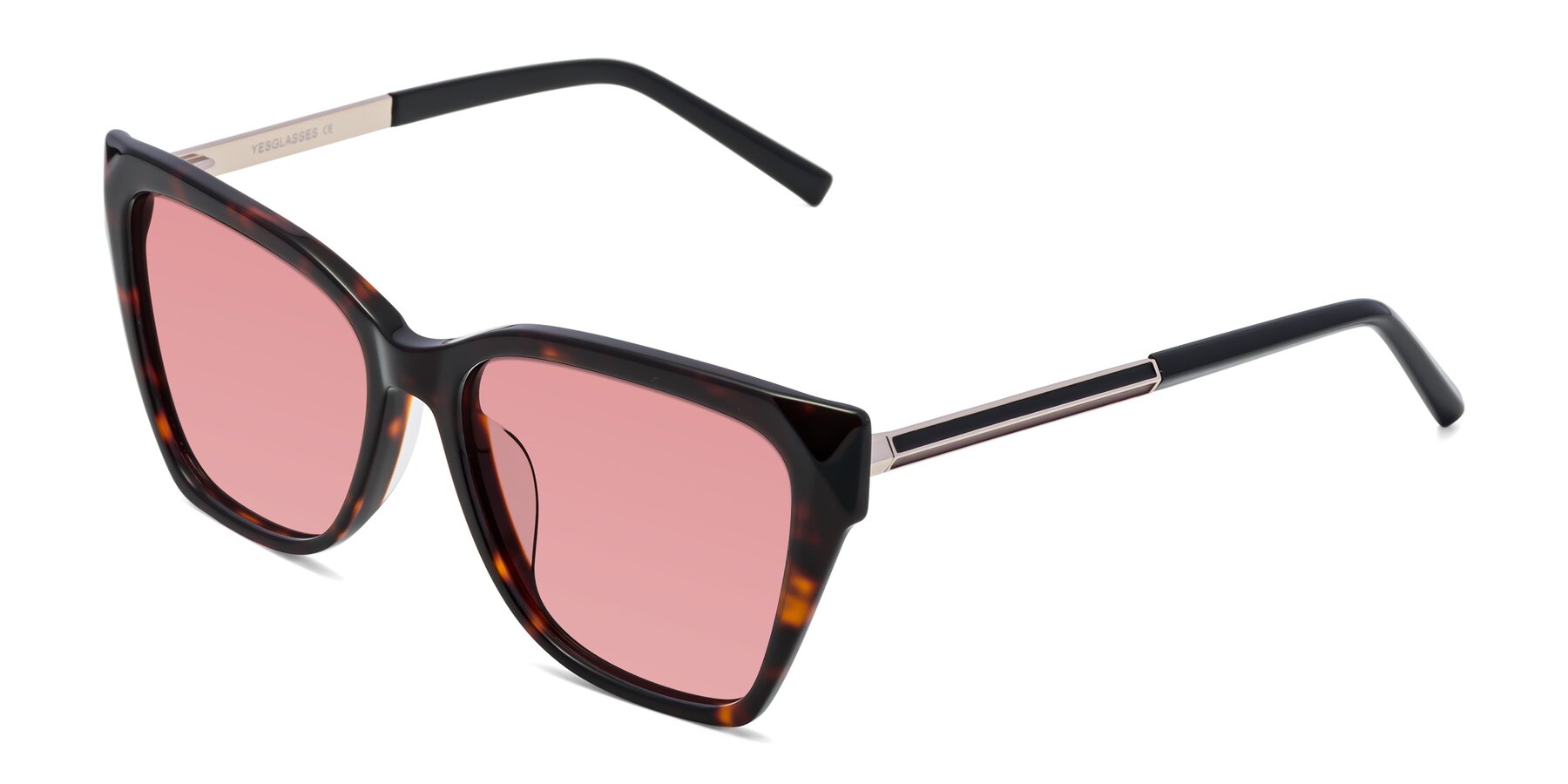 Angle of Swartz in Tortoise with Medium Garnet Tinted Lenses