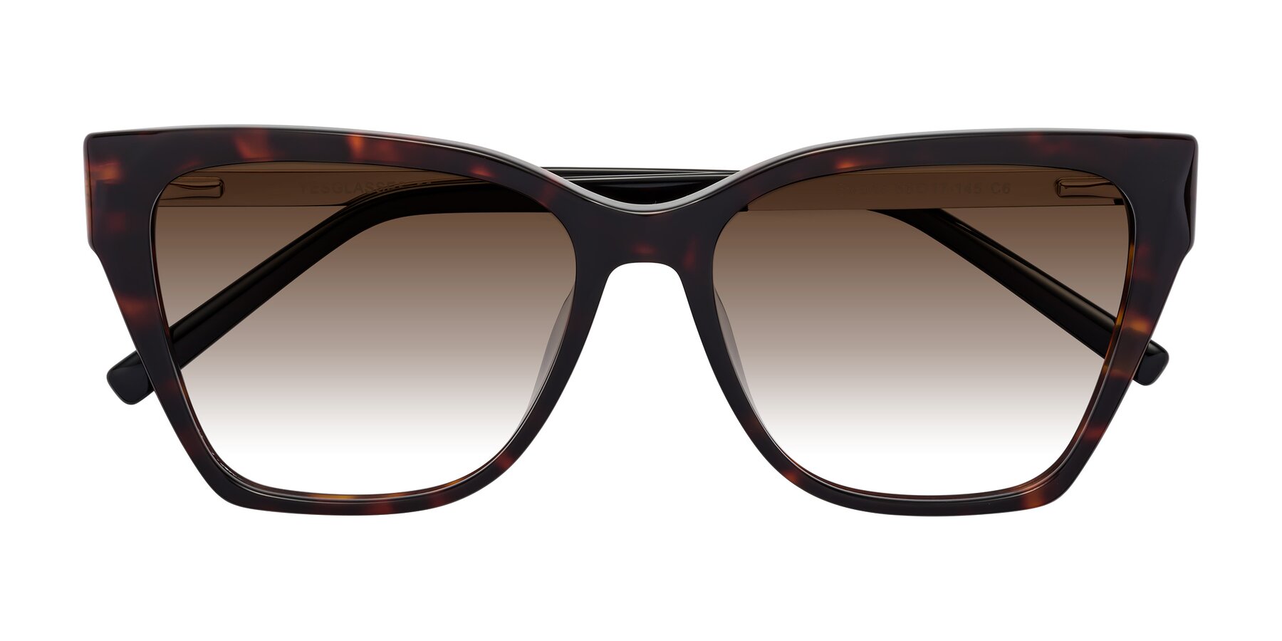 Folded Front of Swartz in Tortoise with Brown Gradient Lenses
