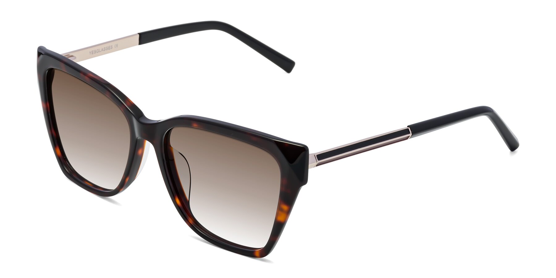 Angle of Swartz in Tortoise with Brown Gradient Lenses