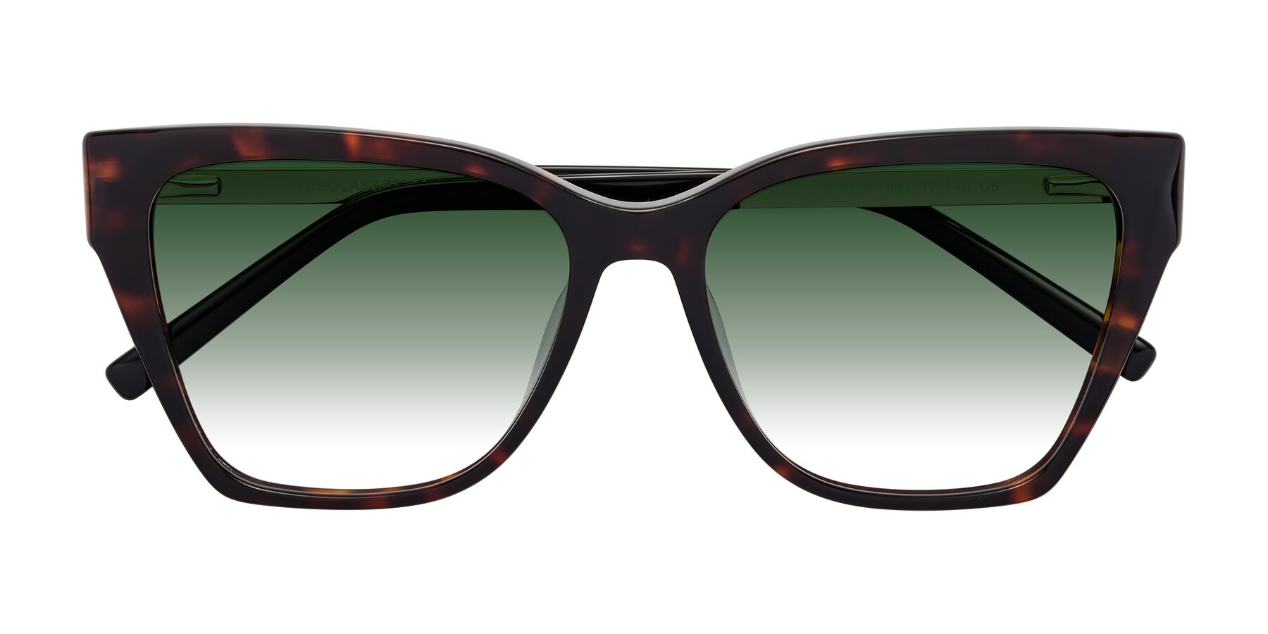 Folded Front of Swartz in Tortoise with Green Gradient Lenses