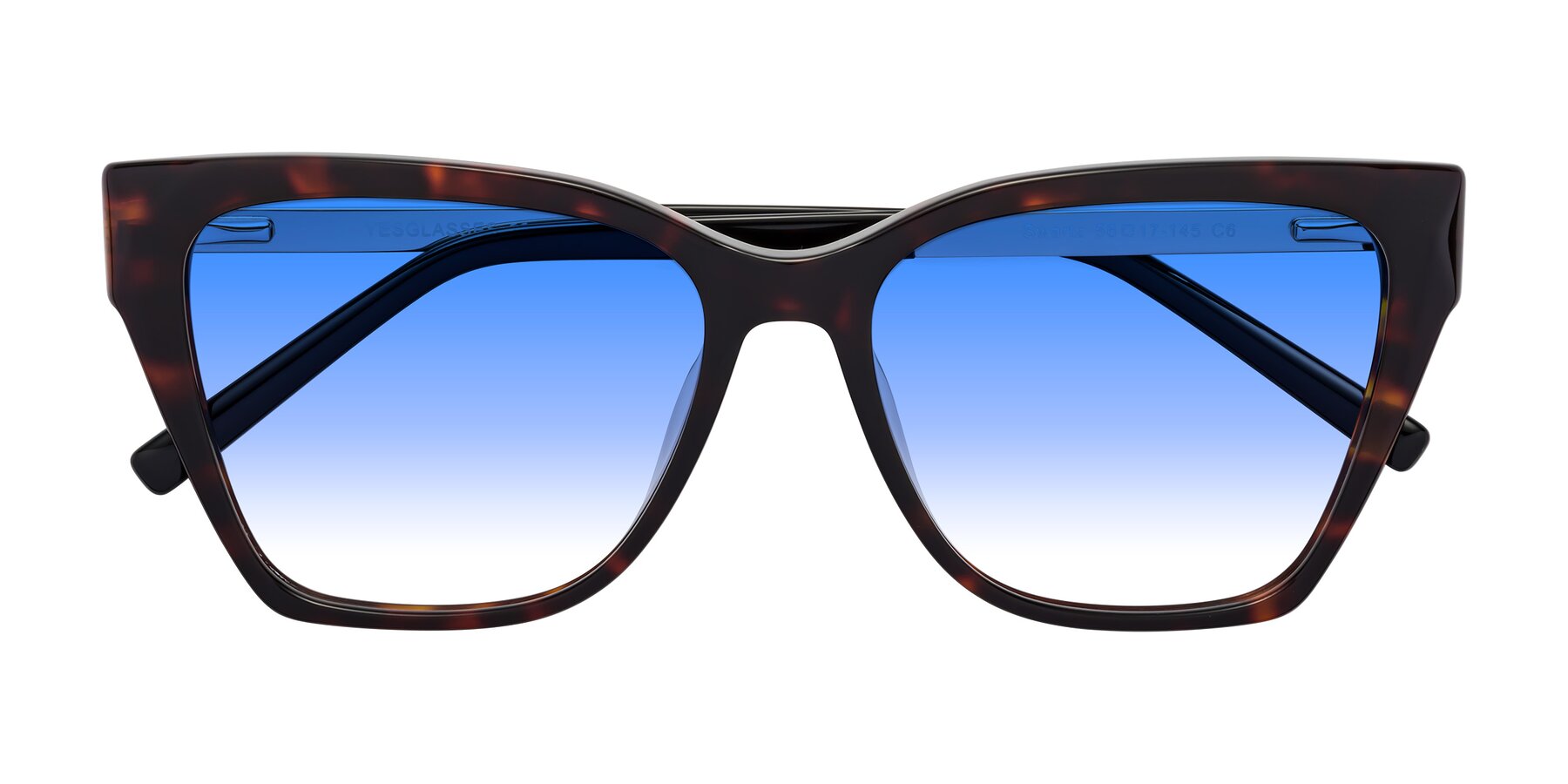 Folded Front of Swartz in Tortoise with Blue Gradient Lenses