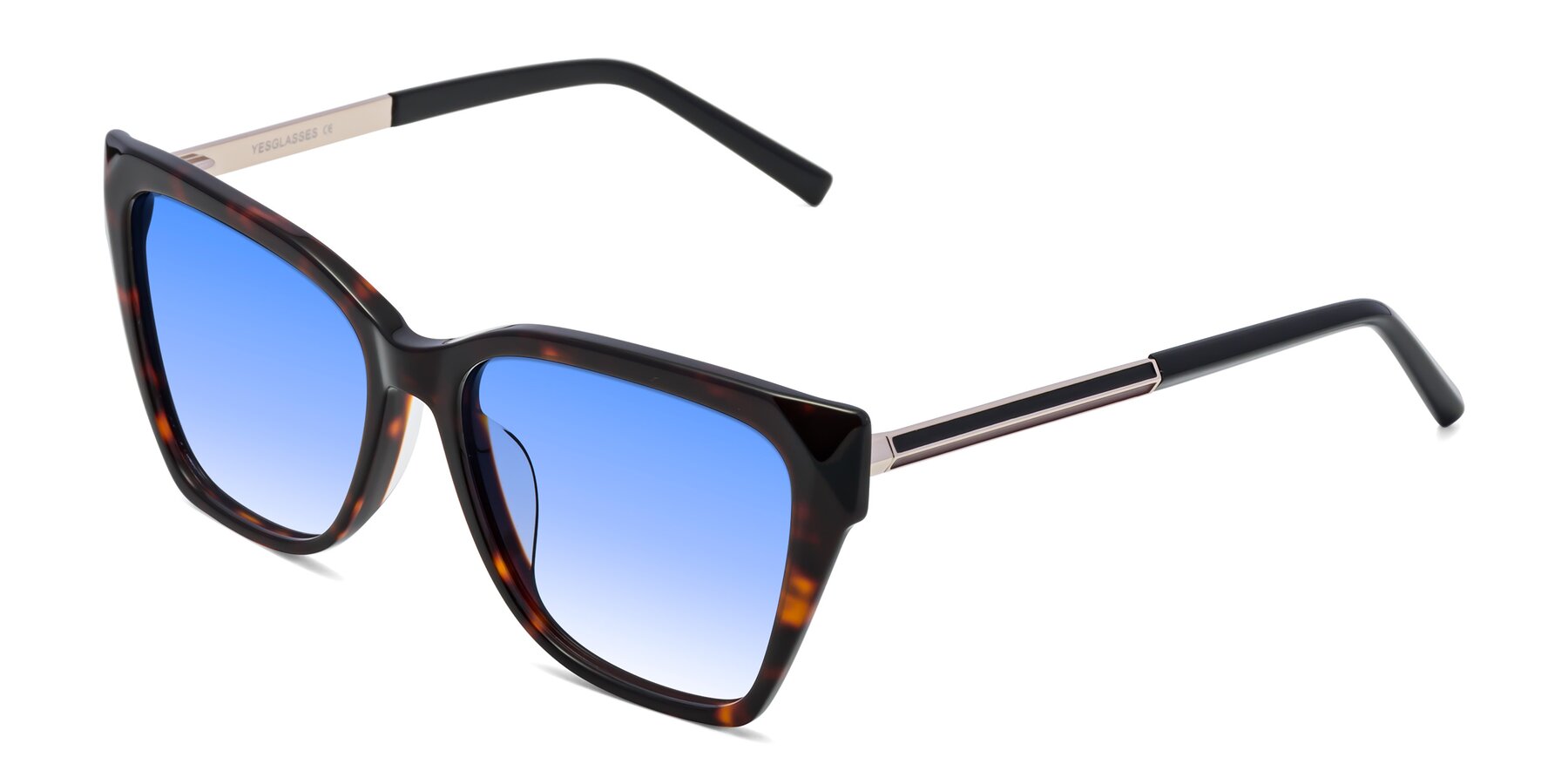 Angle of Swartz in Tortoise with Blue Gradient Lenses