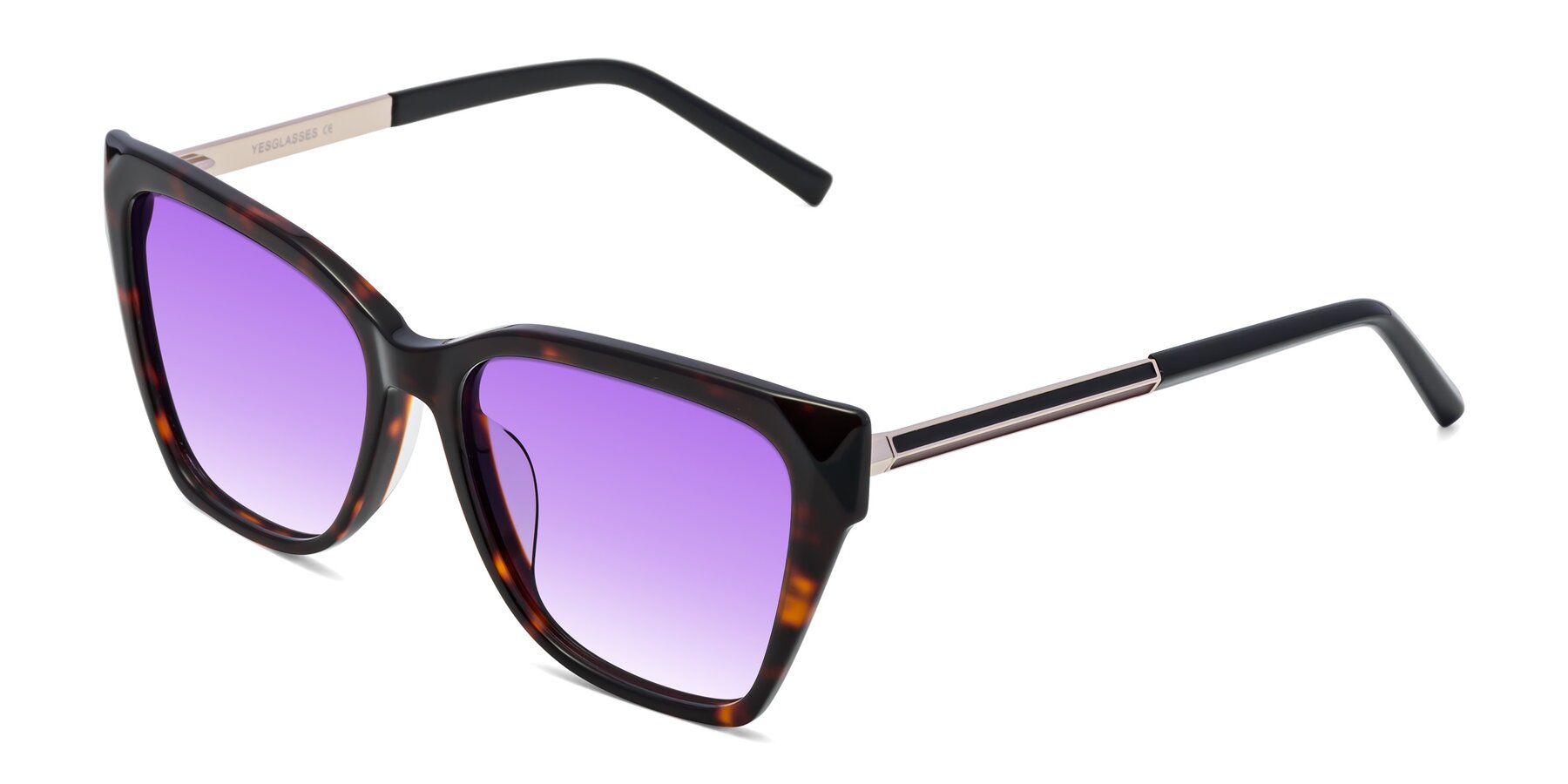 Angle of Swartz in Tortoise with Purple Gradient Lenses