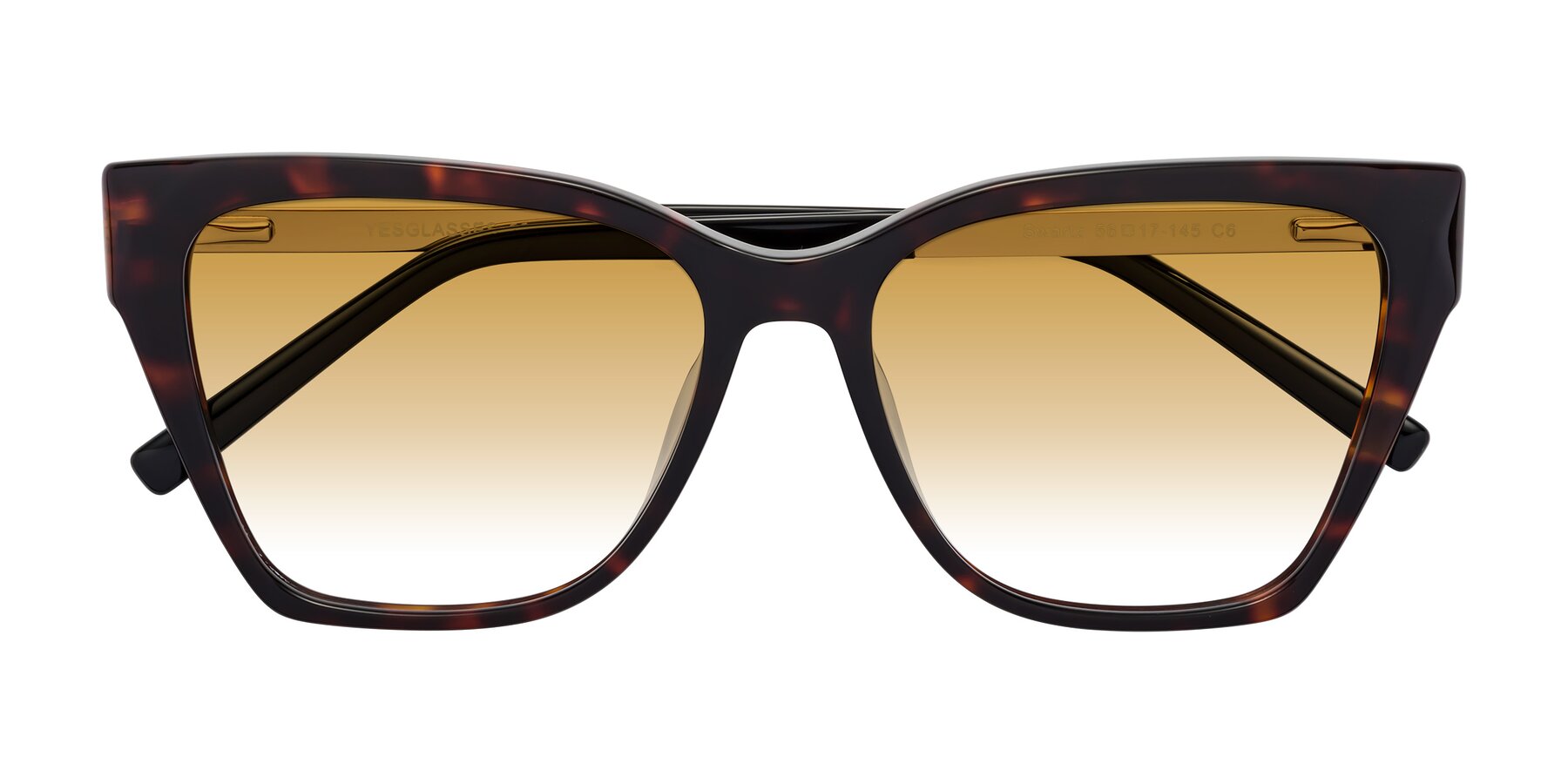 Folded Front of Swartz in Tortoise with Champagne Gradient Lenses