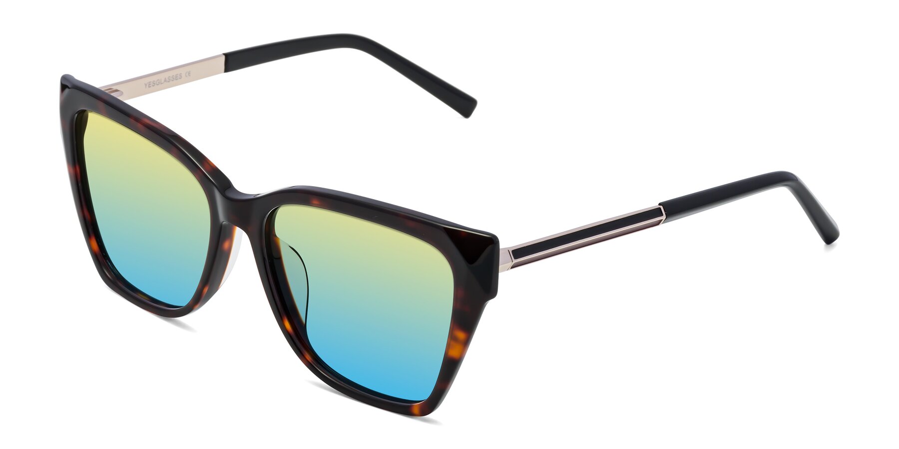 Angle of Swartz in Tortoise with Yellow / Blue Gradient Lenses
