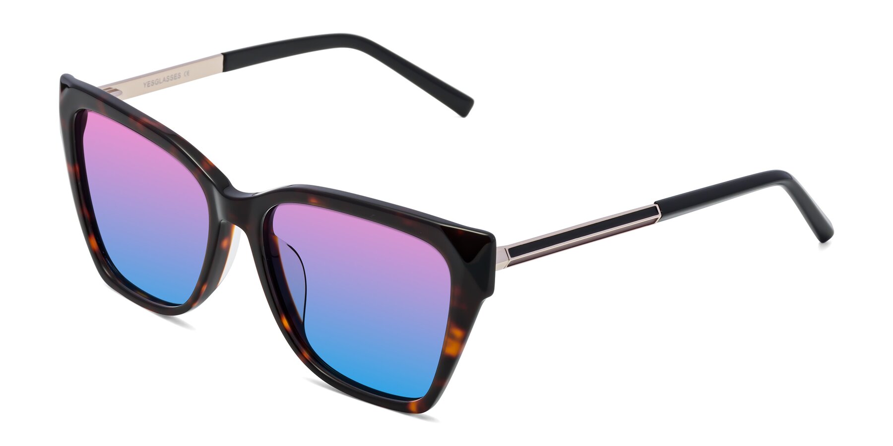 Angle of Swartz in Tortoise with Pink / Blue Gradient Lenses