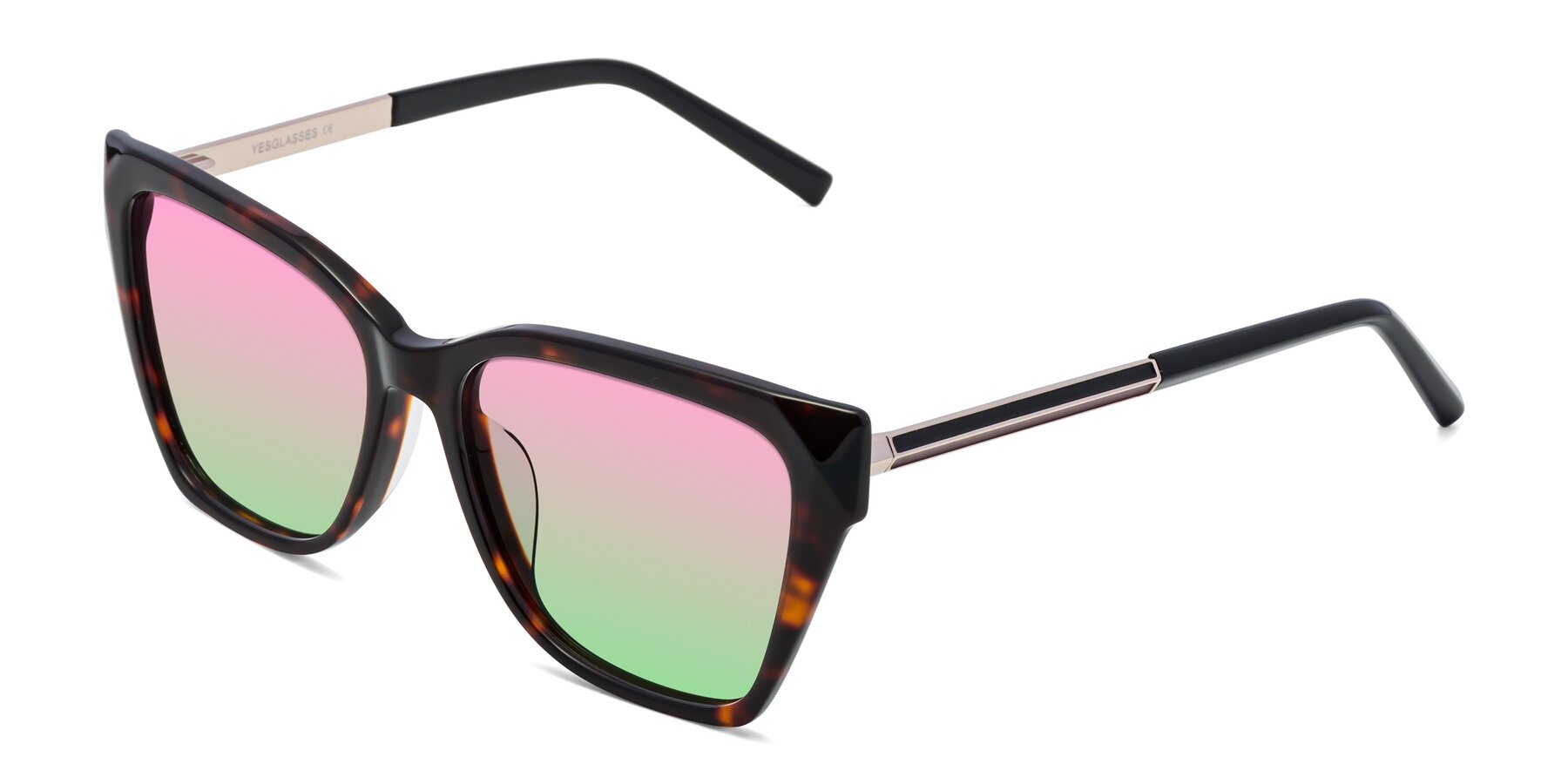 Angle of Swartz in Tortoise with Pink / Green Gradient Lenses