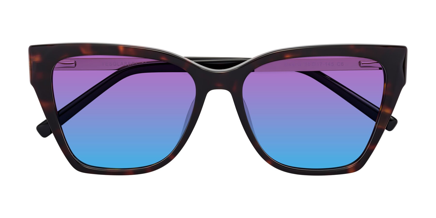 Folded Front of Swartz in Tortoise with Purple / Blue Gradient Lenses