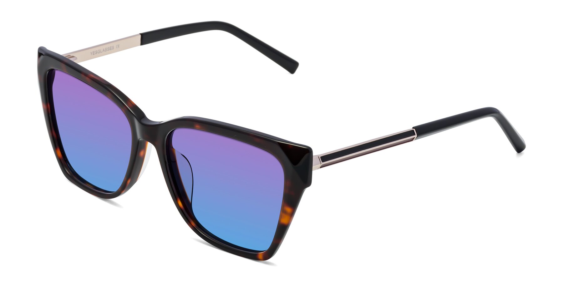 Angle of Swartz in Tortoise with Purple / Blue Gradient Lenses