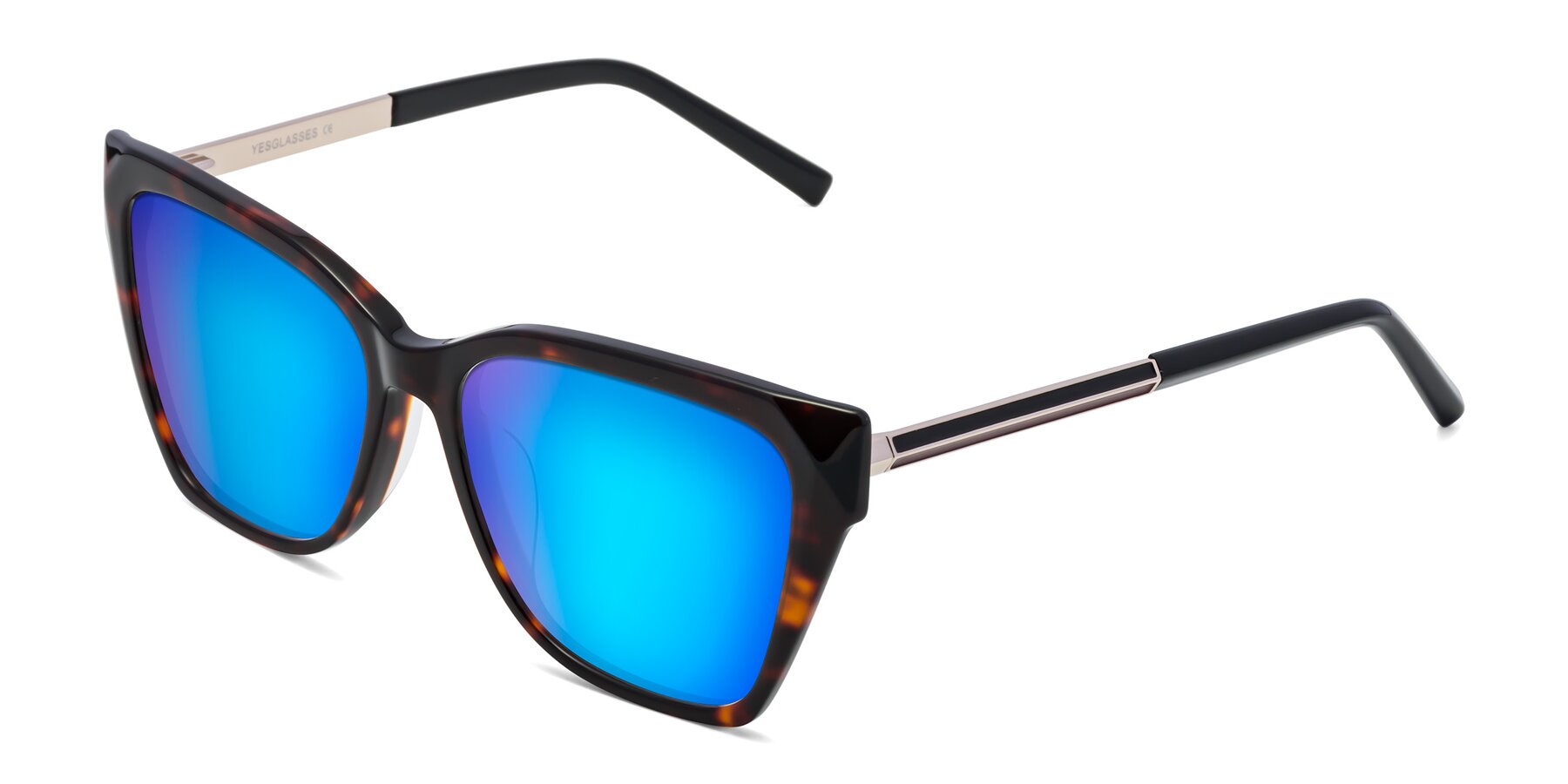 Angle of Swartz in Tortoise with Blue Mirrored Lenses