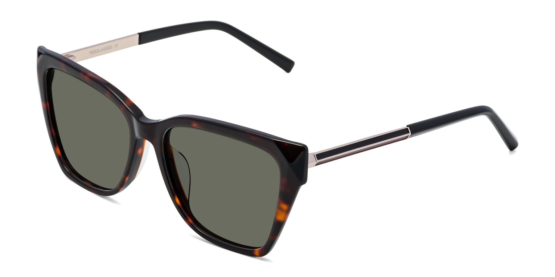 Angle of Swartz in Tortoise with Gray Polarized Lenses