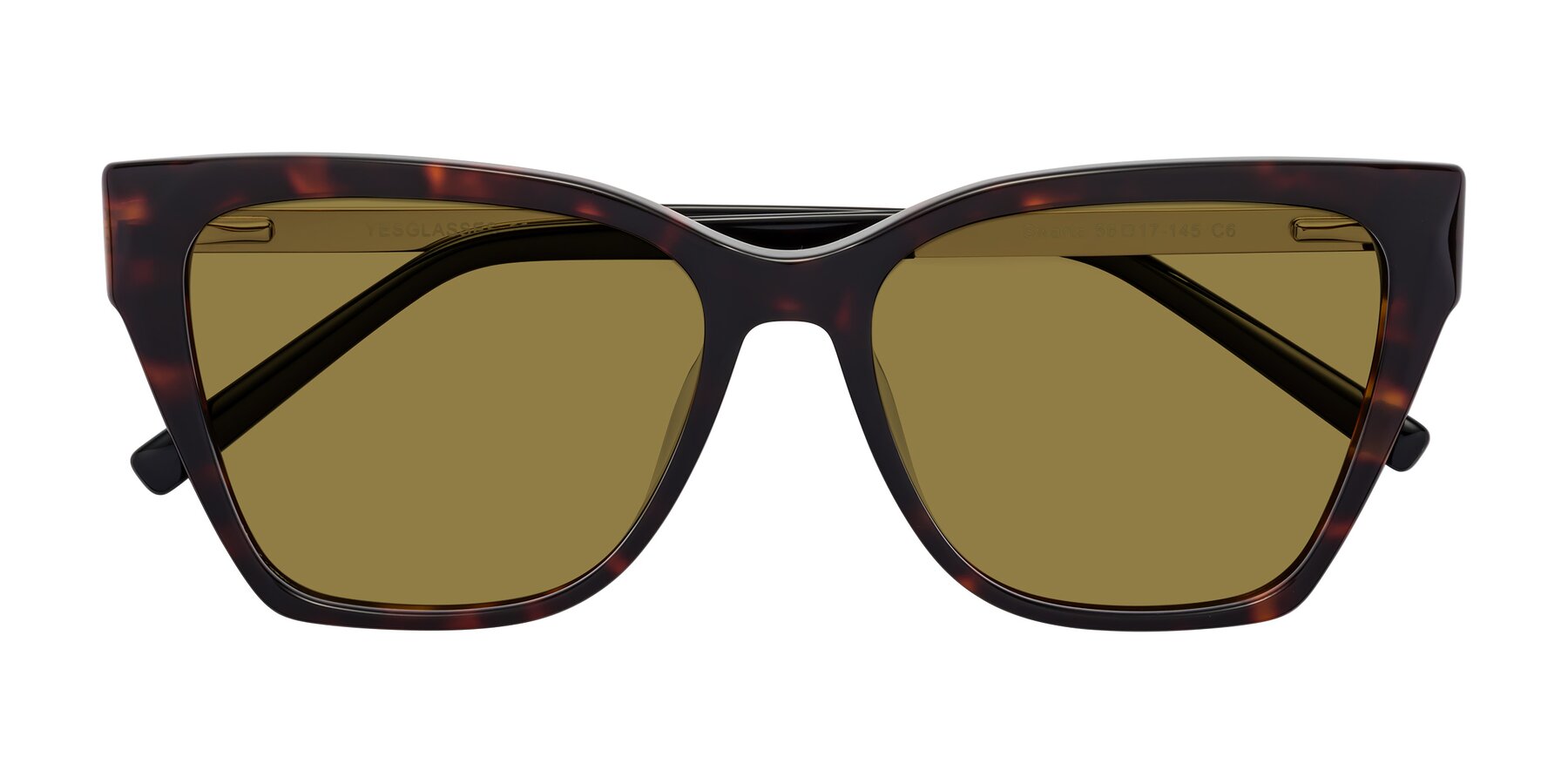 Folded Front of Swartz in Tortoise with Brown Polarized Lenses