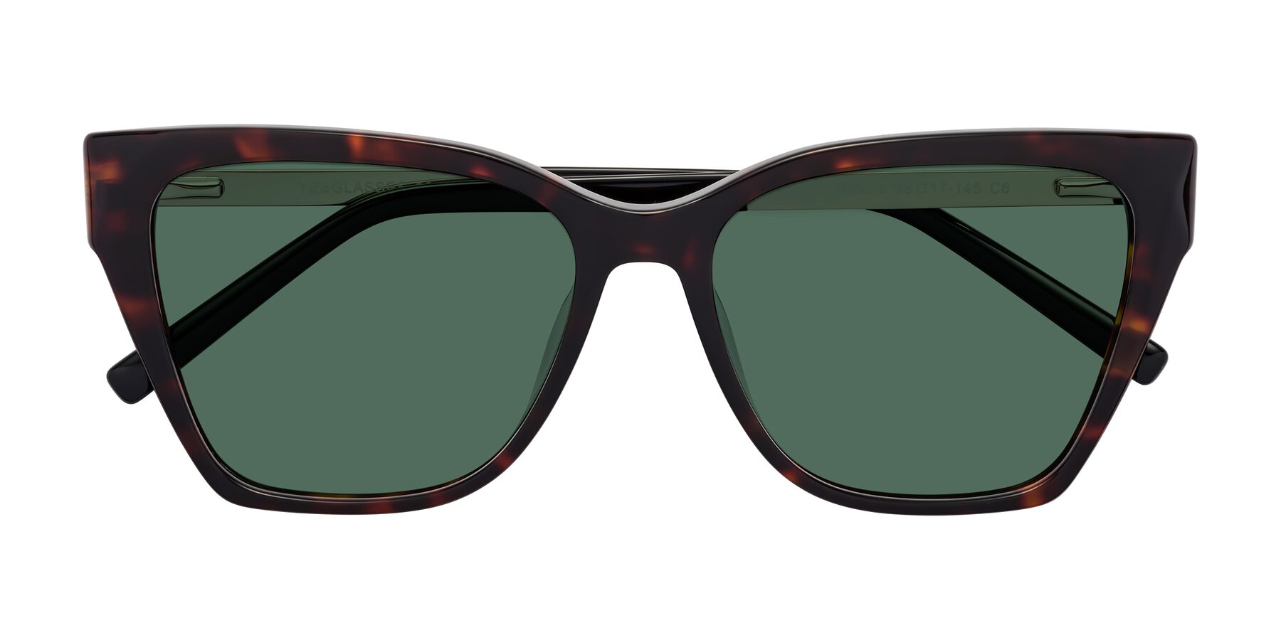 Folded Front of Swartz in Tortoise with Green Polarized Lenses