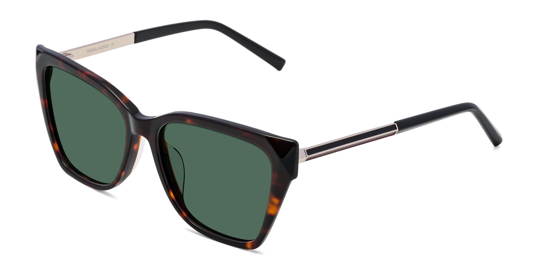Angle of Swartz in Tortoise with Green Polarized Lenses