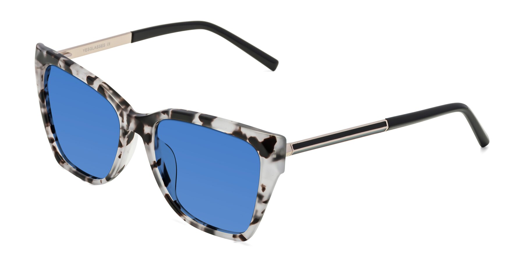 Angle of Swartz in White Tortoise with Blue Tinted Lenses
