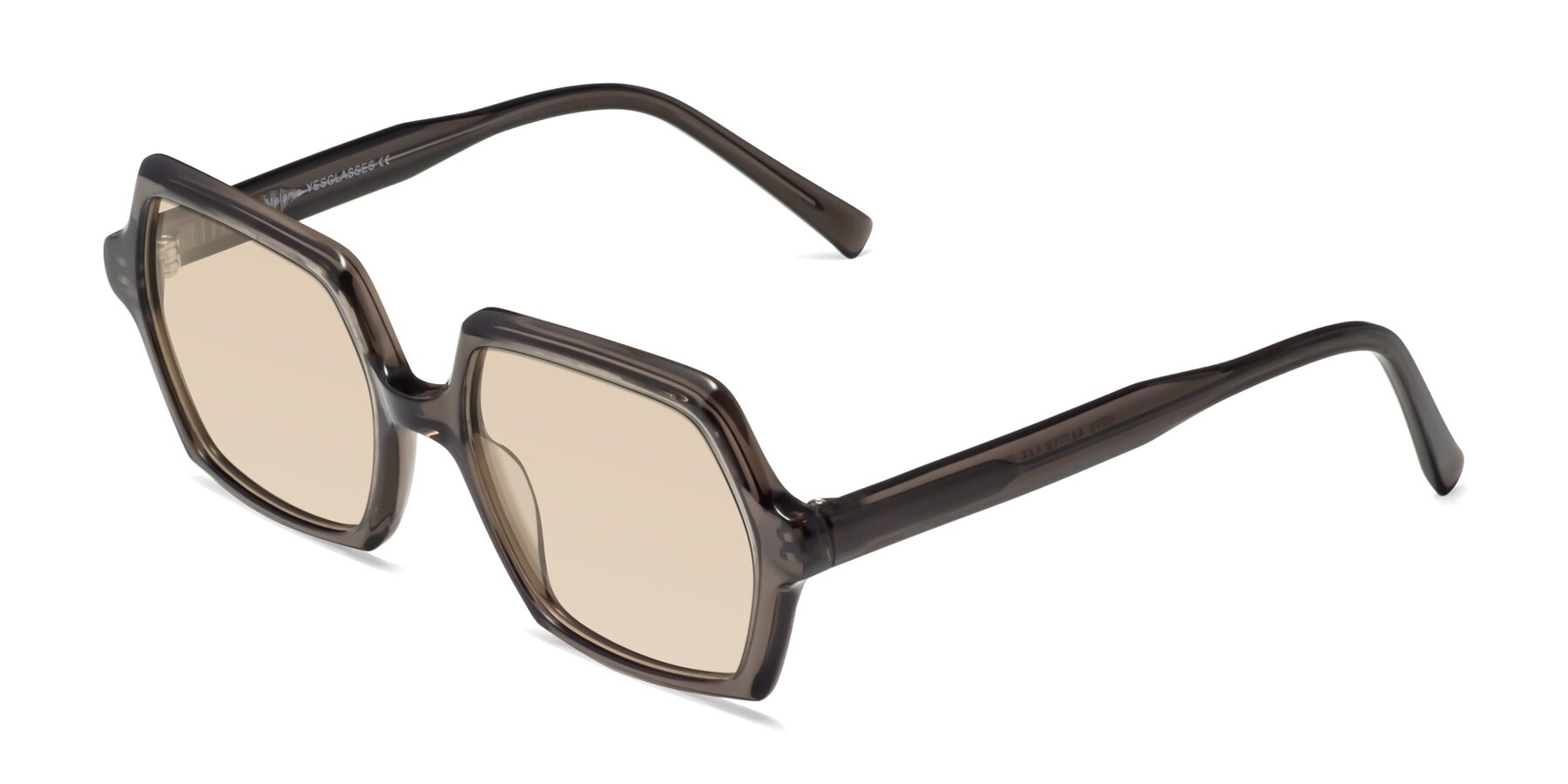 Angle of Melanie in Transparent Gray with Light Brown Tinted Lenses