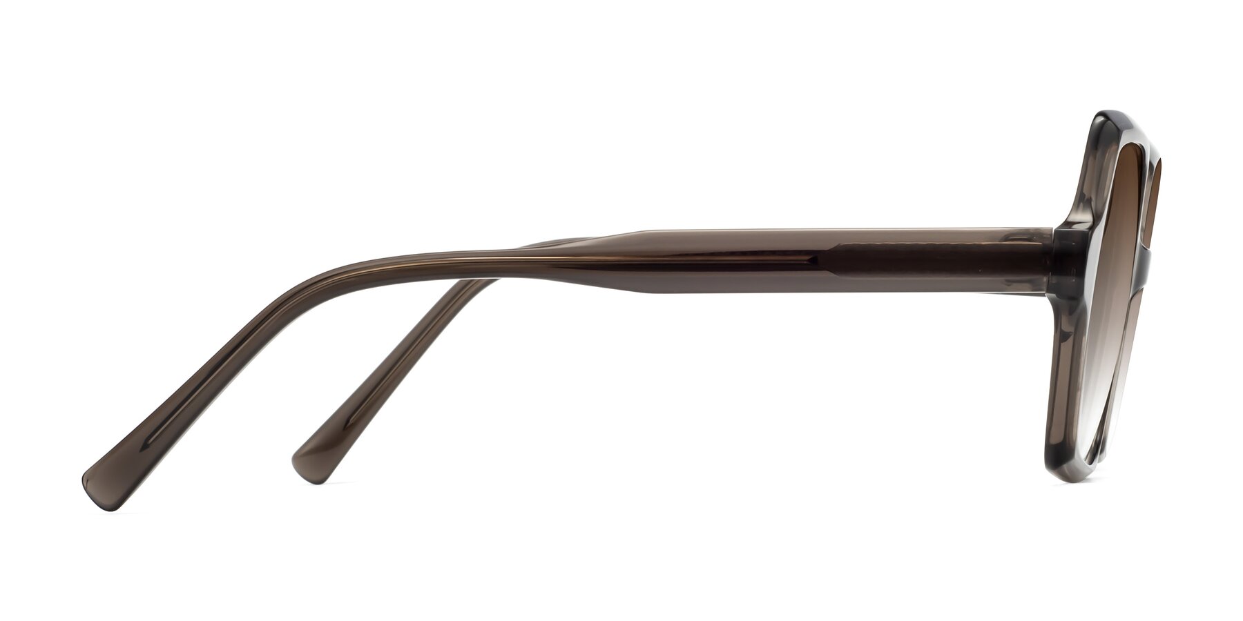 Side of Melanie in Transparent Gray with Brown Gradient Lenses