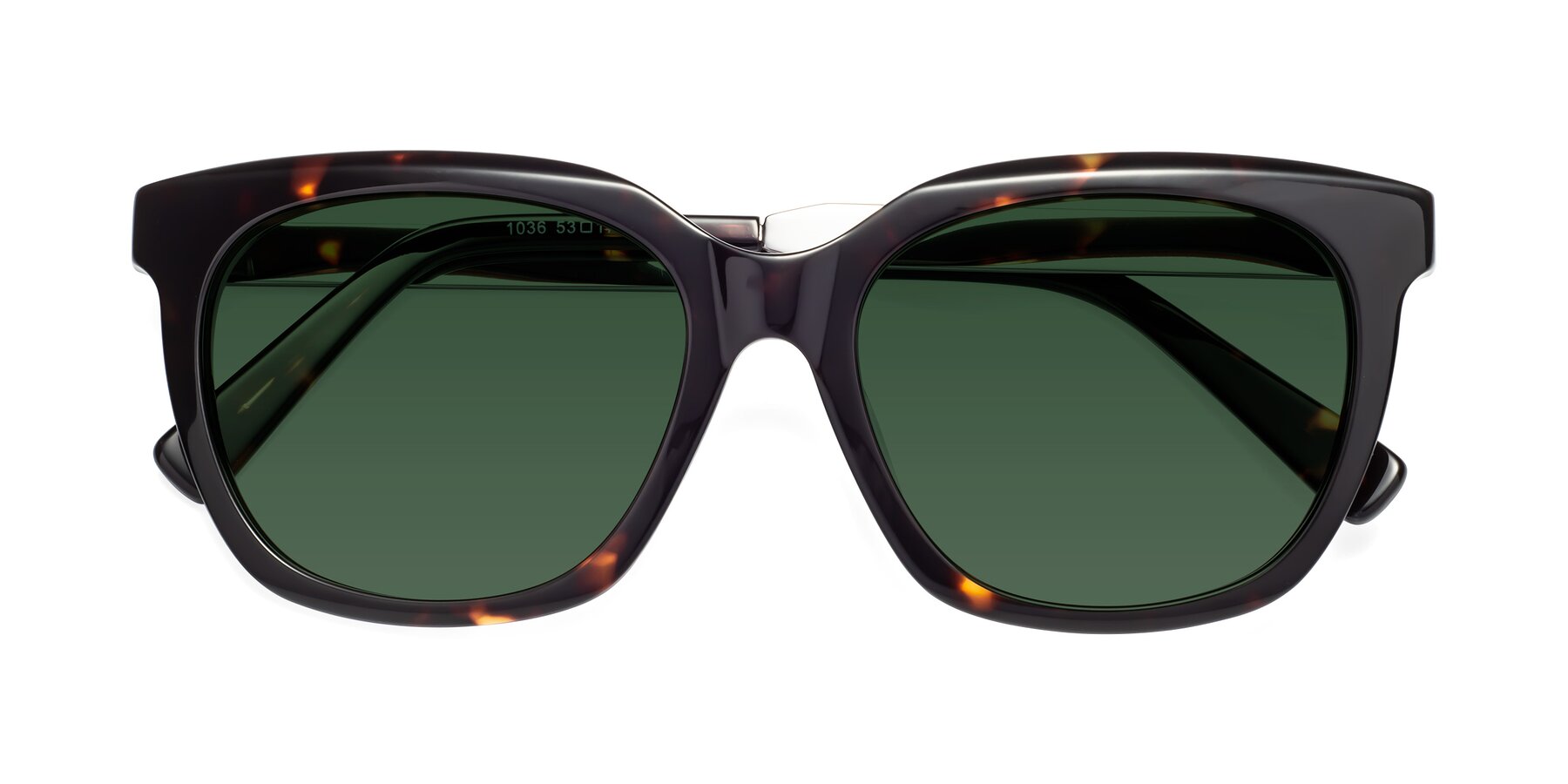 Folded Front of Talent in Tortoise with Green Tinted Lenses