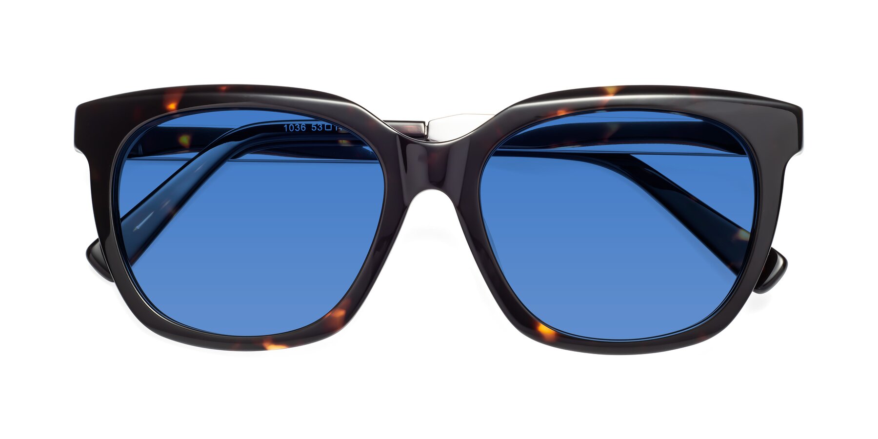 Folded Front of Talent in Tortoise with Blue Tinted Lenses
