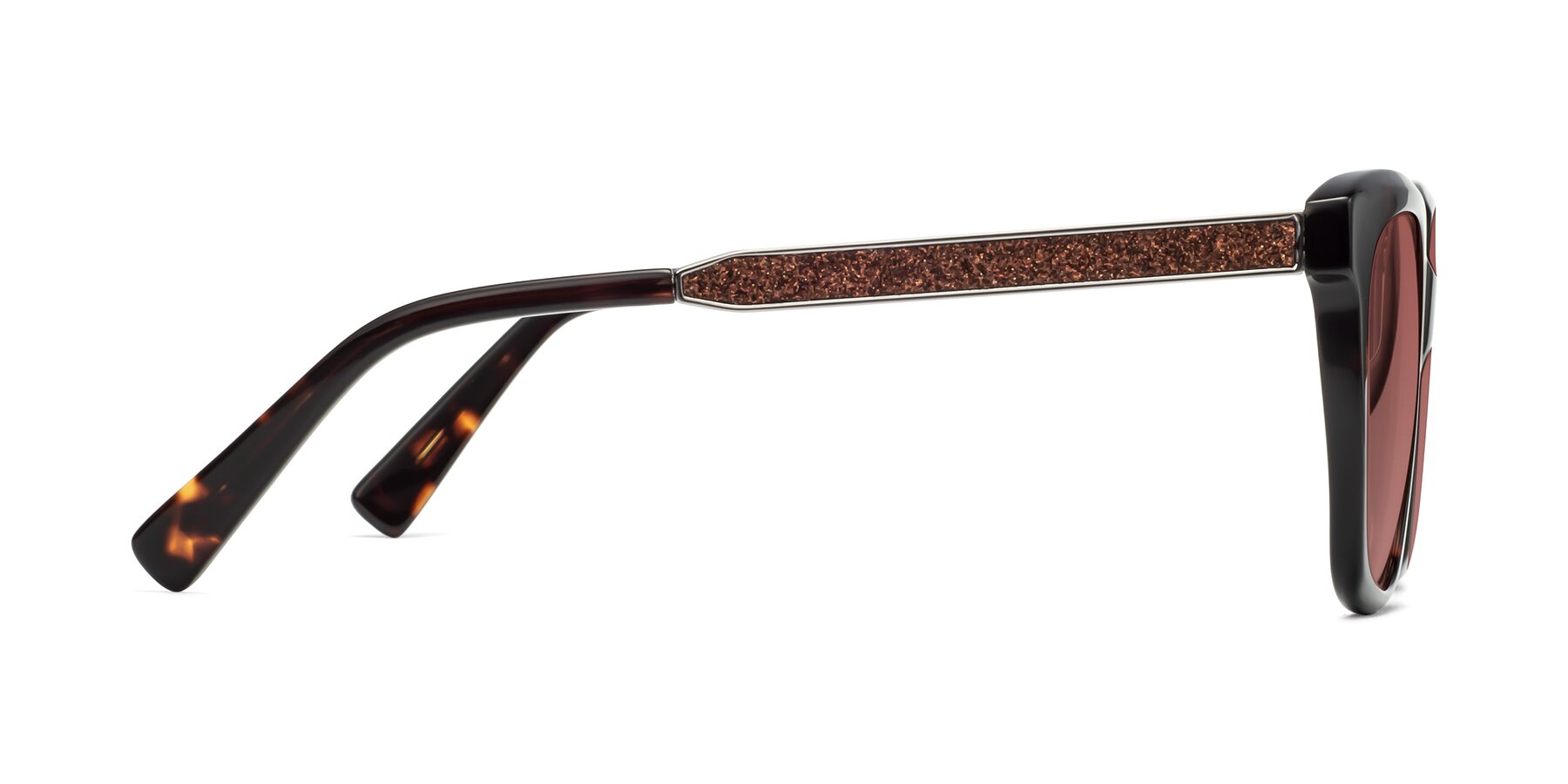 Side of Talent in Tortoise with Garnet Tinted Lenses