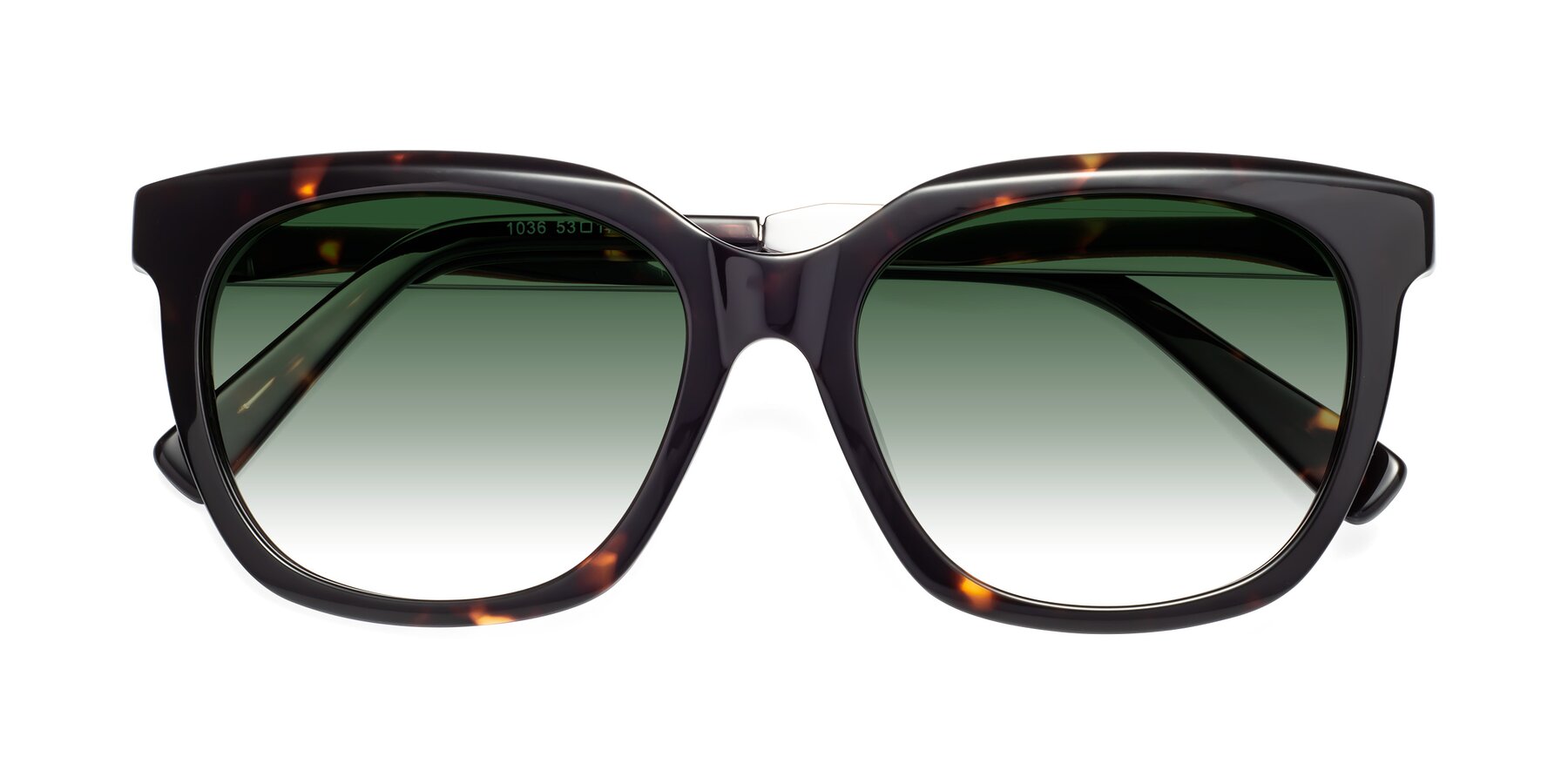 Folded Front of Talent in Tortoise with Green Gradient Lenses
