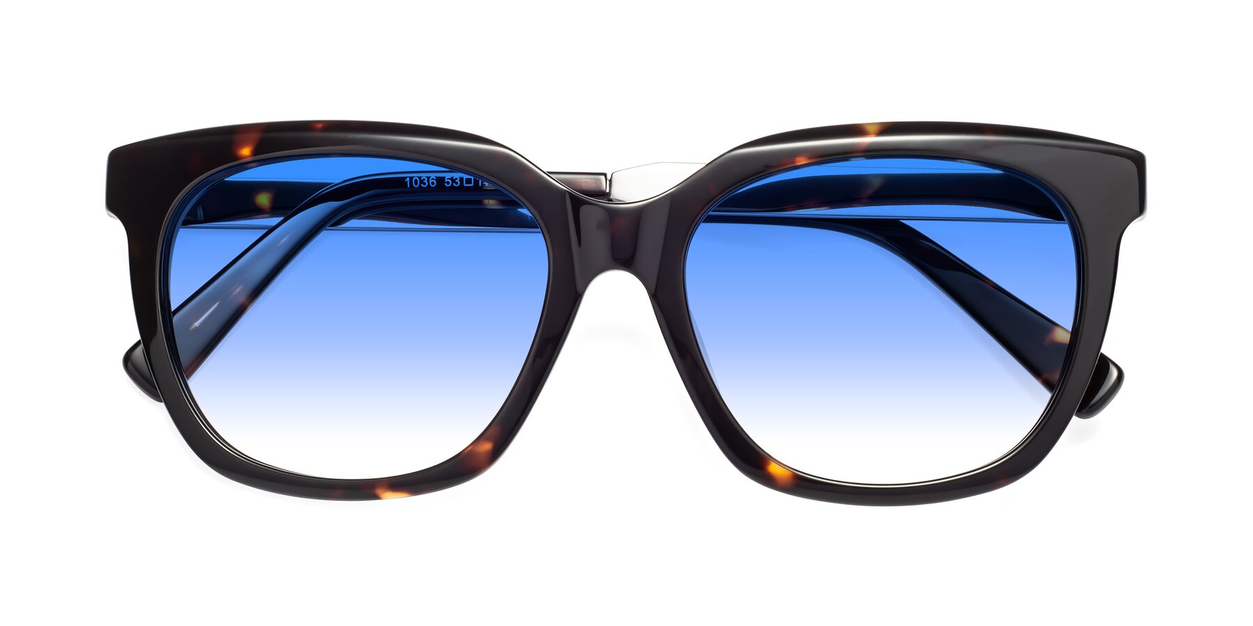 Folded Front of Talent in Tortoise with Blue Gradient Lenses