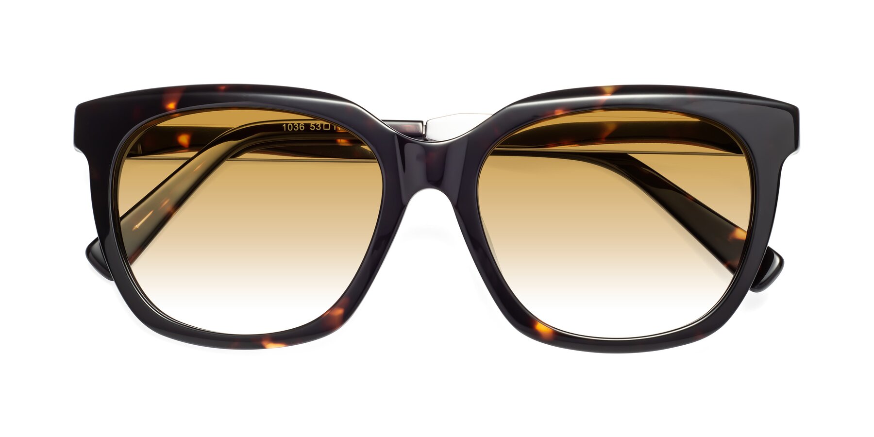 Folded Front of Talent in Tortoise with Champagne Gradient Lenses