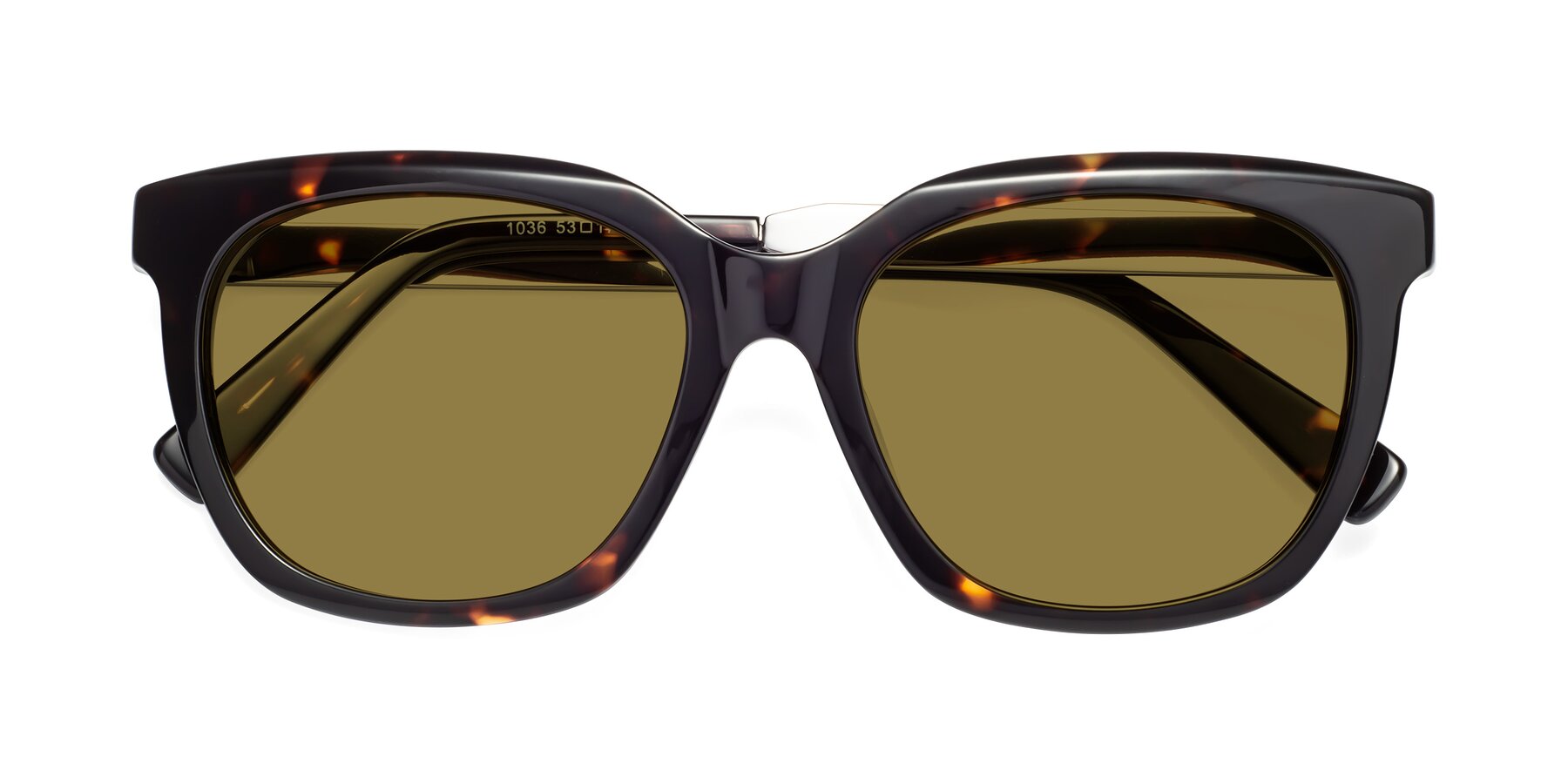 Folded Front of Talent in Tortoise with Brown Polarized Lenses