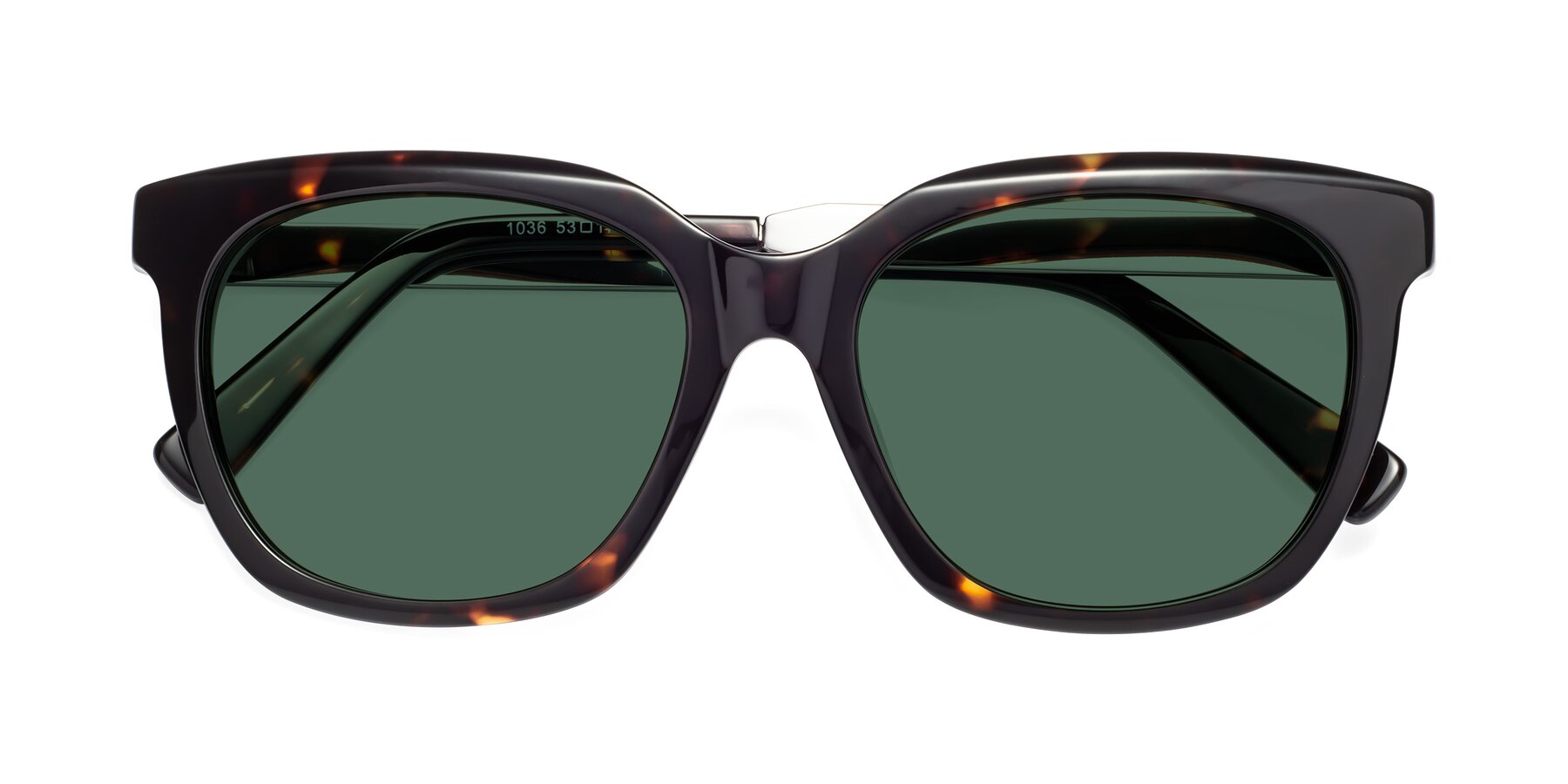 Folded Front of Talent in Tortoise with Green Polarized Lenses