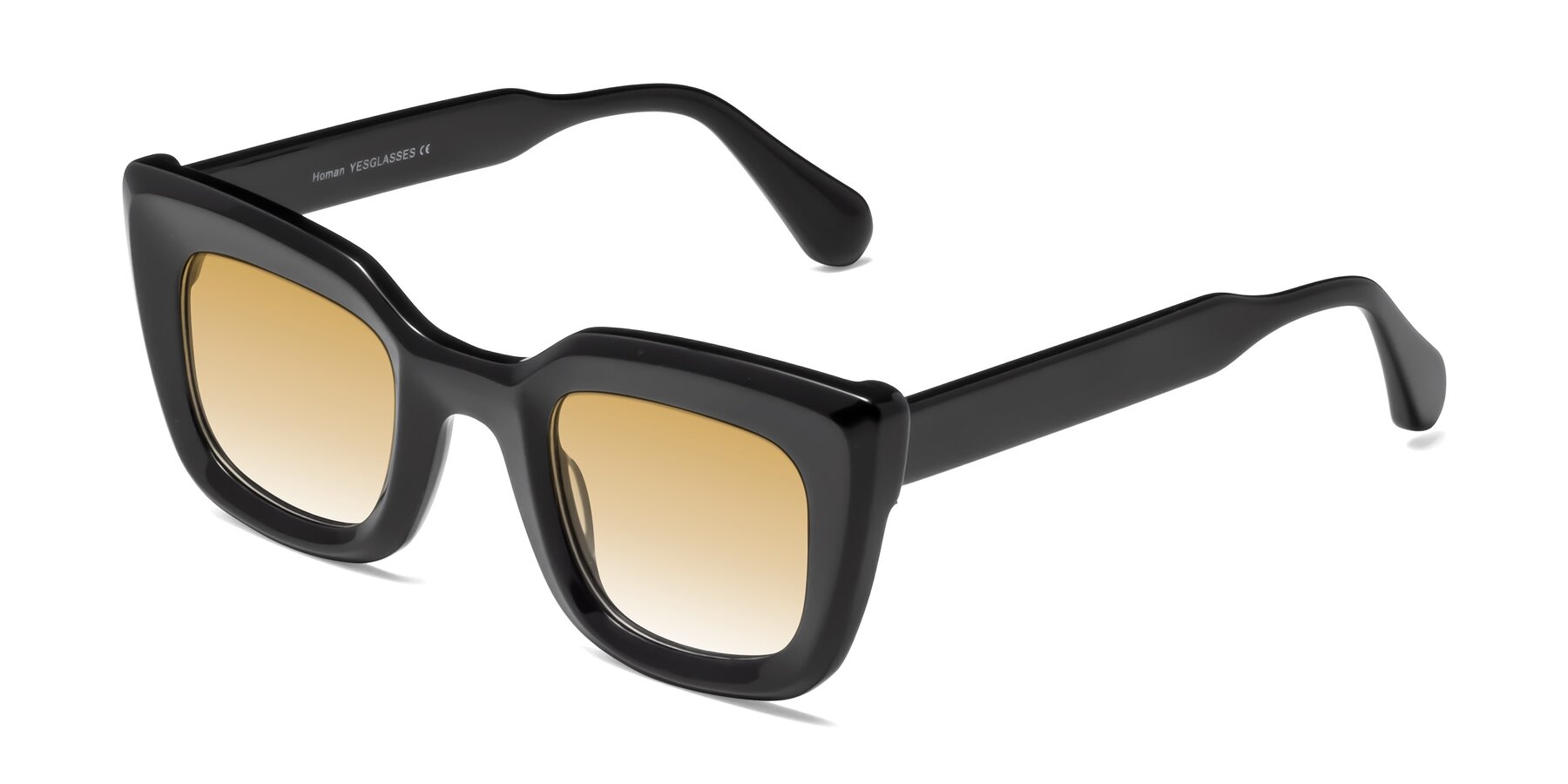 Angle of Homan in Black with Champagne Gradient Lenses
