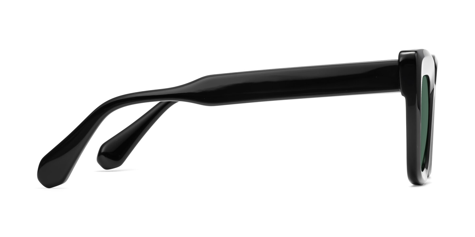 Side of Homan in Black with Green Polarized Lenses