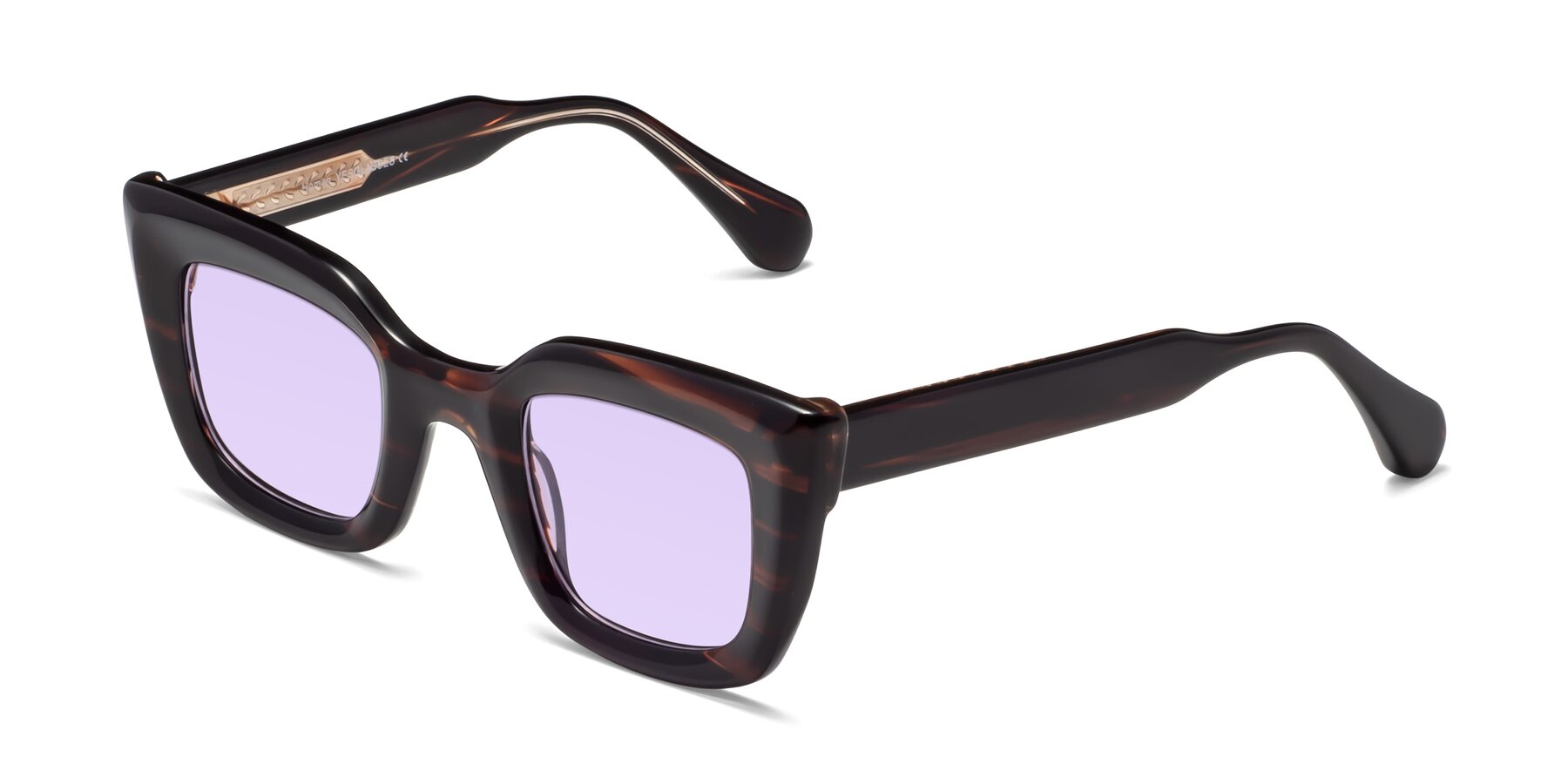 Angle of Homan in Dark Brown with Light Purple Tinted Lenses
