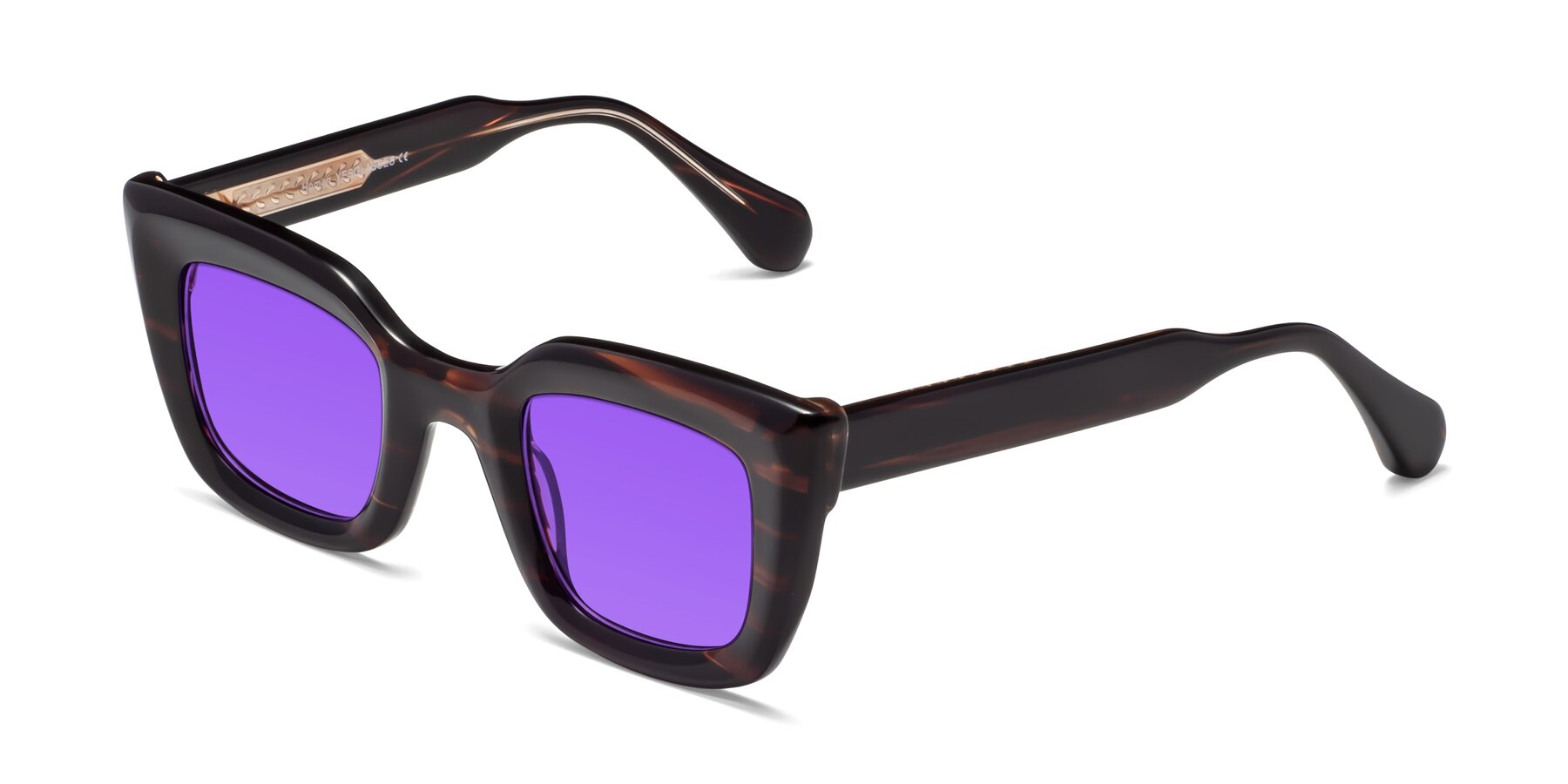 Angle of Homan in Dark Brown with Purple Tinted Lenses