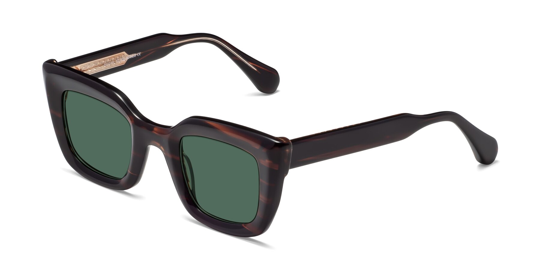 Angle of Homan in Dark Brown with Green Polarized Lenses