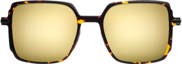 Tortoise Oversized Lightweight Square Mirrored Sunglasses with Gold ...