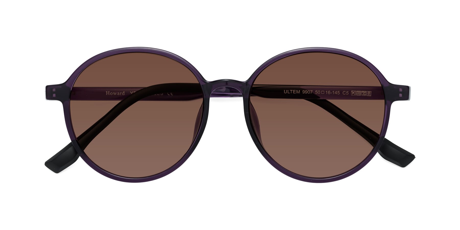 Folded Front of Howard in Purple with Brown Tinted Lenses