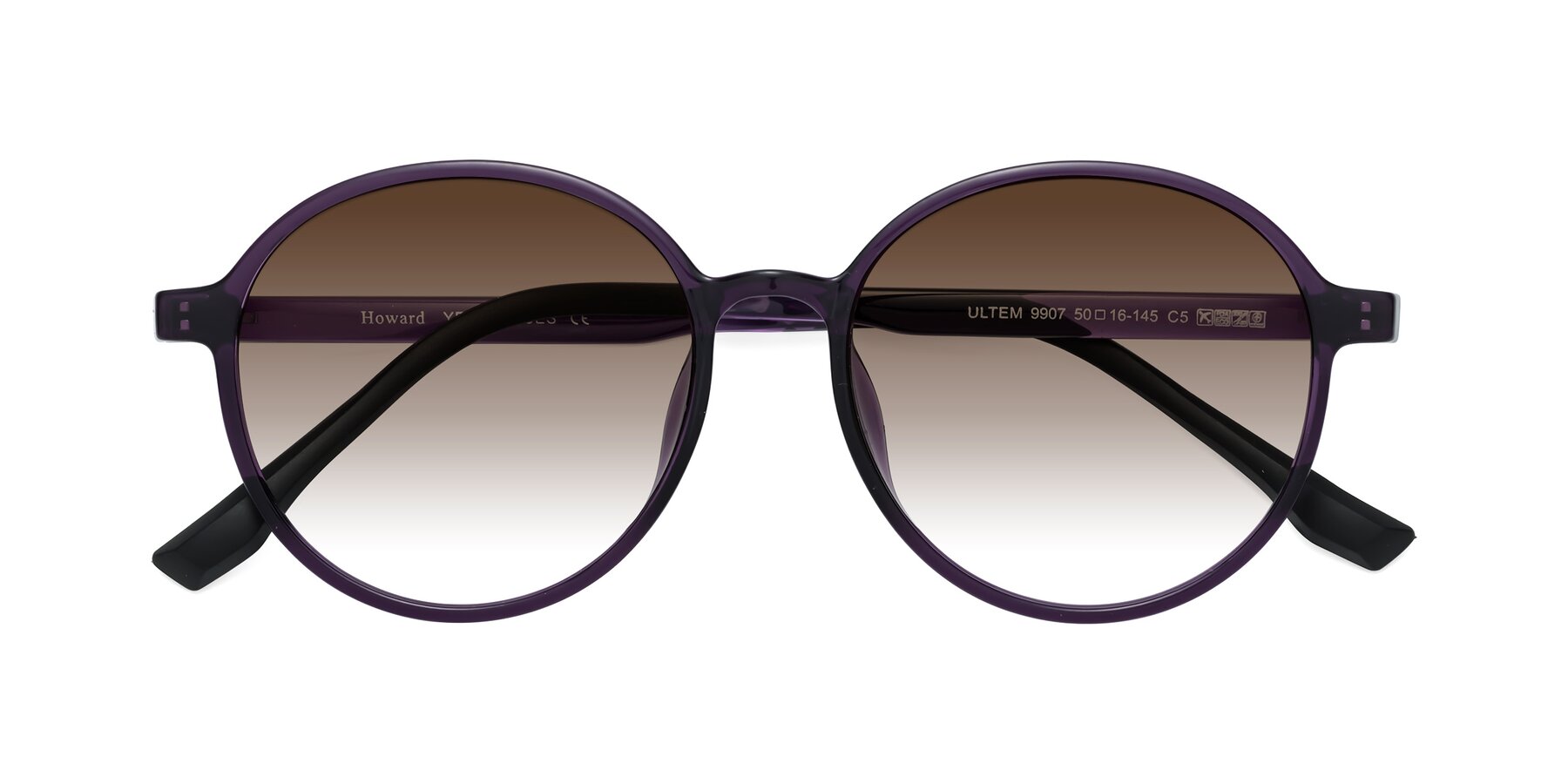 Folded Front of Howard in Purple with Brown Gradient Lenses
