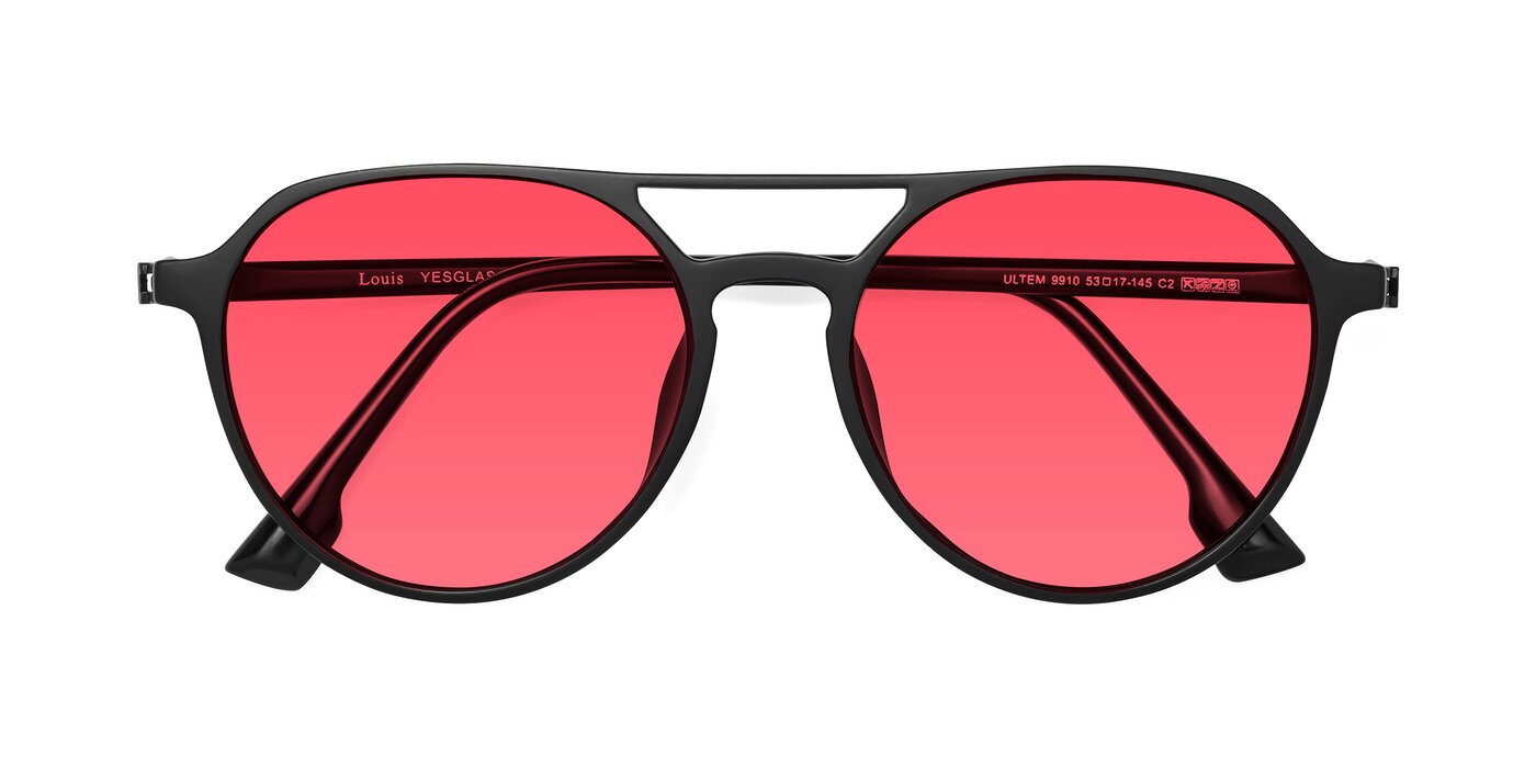 Louis - Matte Black Tinted Sunglasses