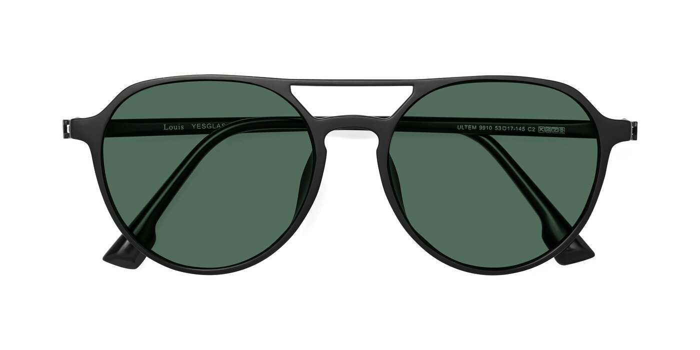 Louis - Matte Black Polarized Sunglasses