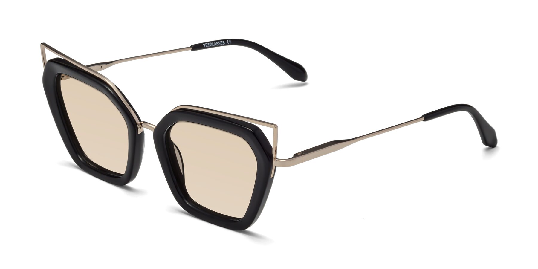 Angle of Delmonte in Black with Light Brown Tinted Lenses